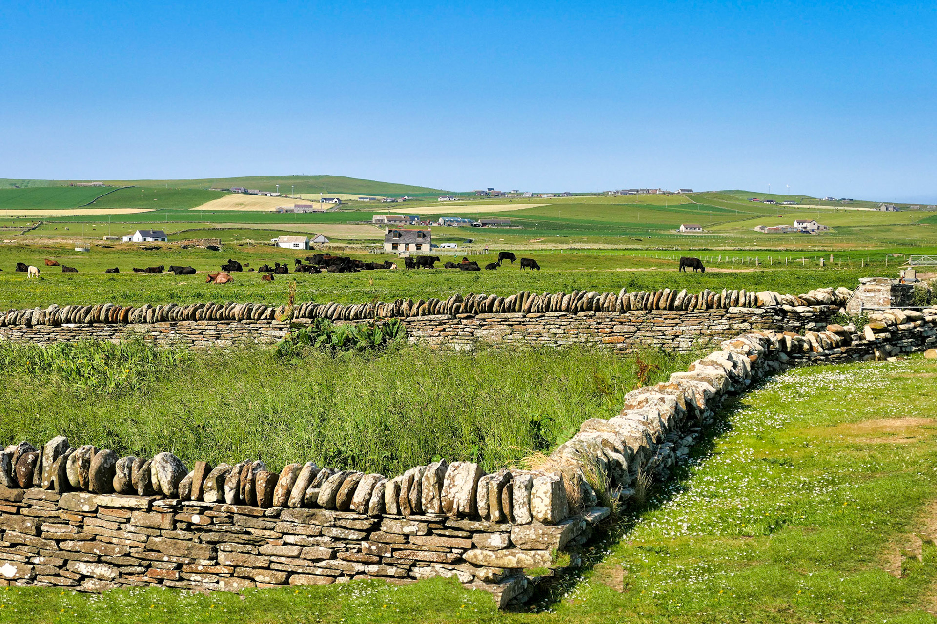 Fields near Skara Brae, Orkney