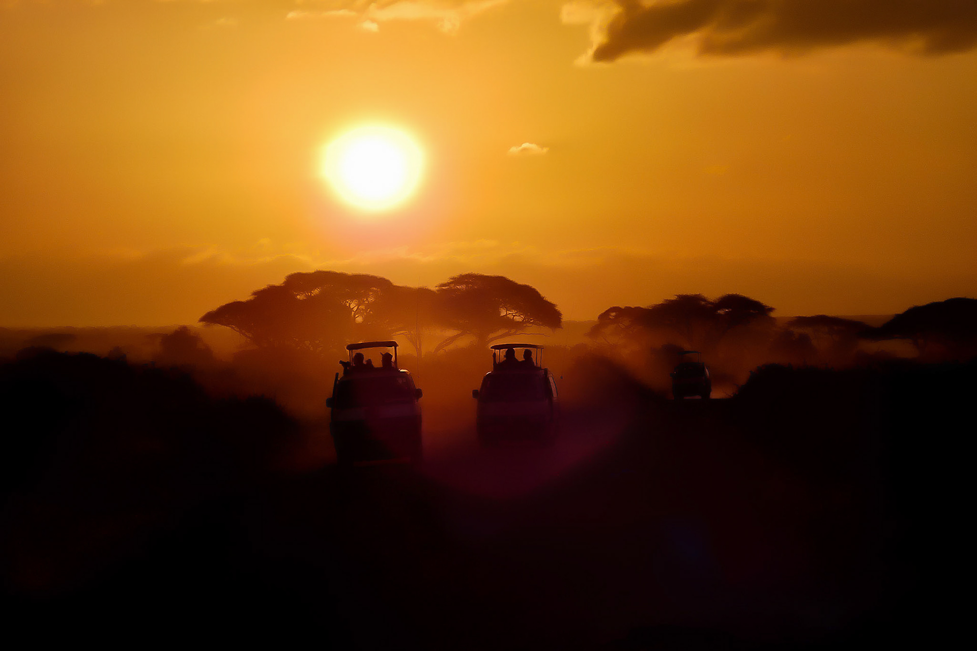 Sunrise safari, Amboseli National park, kenya 2014