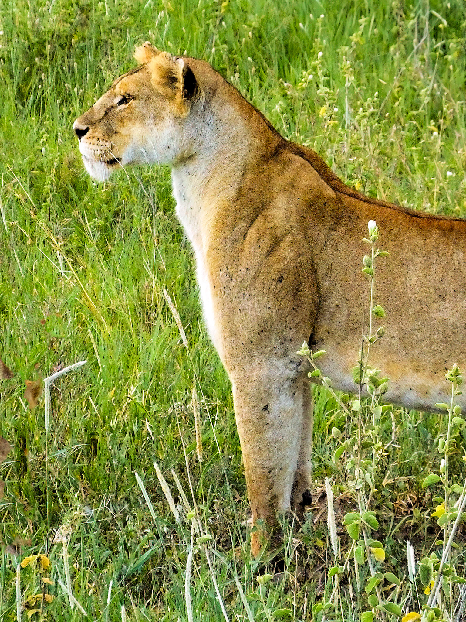 Ngorongoro Crater, Tanzania 2014