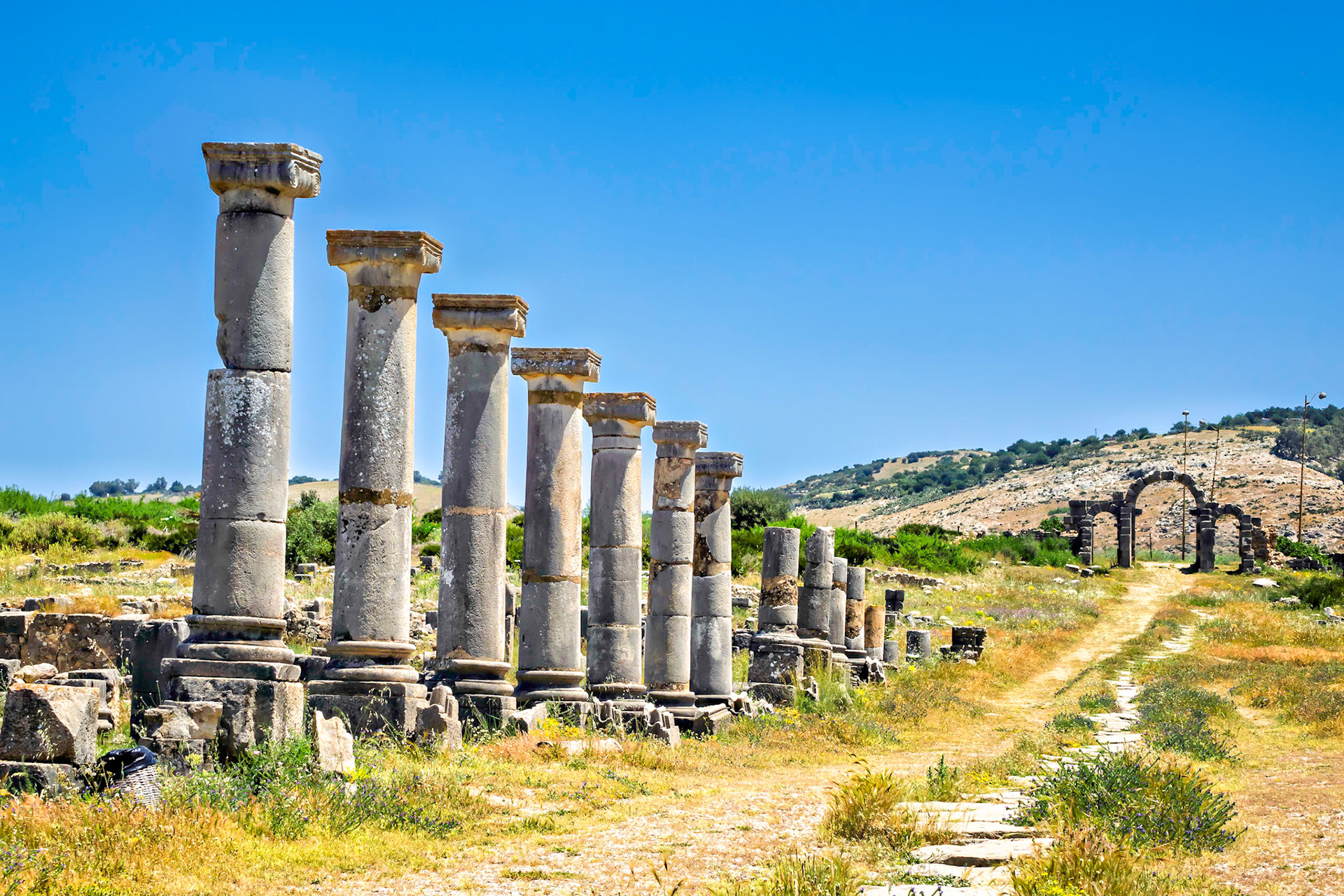 Volubilus, Morocco 2019