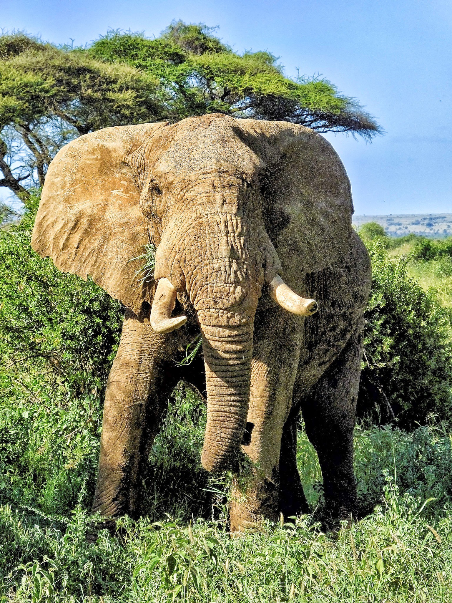 Kenya 2014