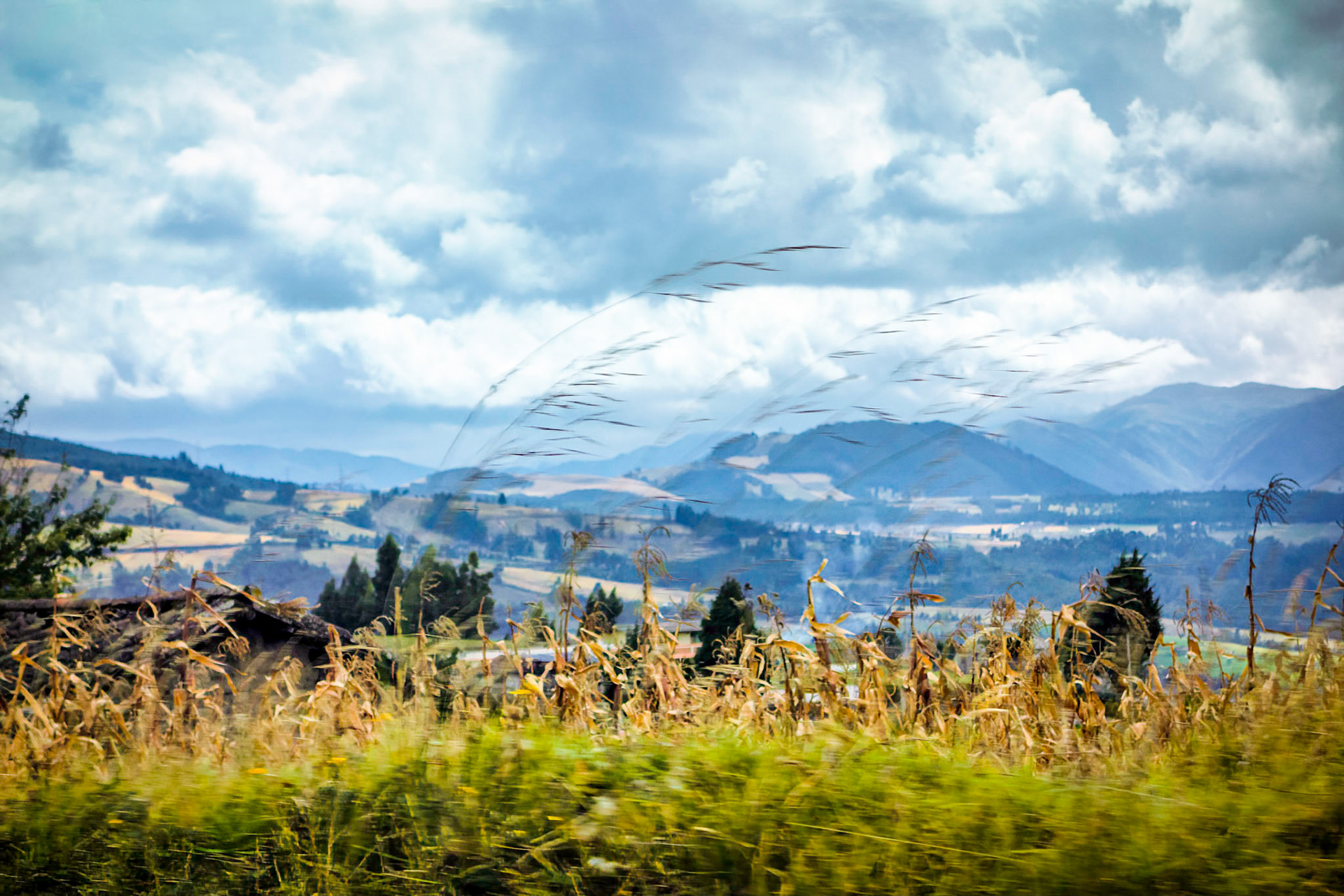 On way to Otavalo, Ecuador 2017 (Shot through bus window)