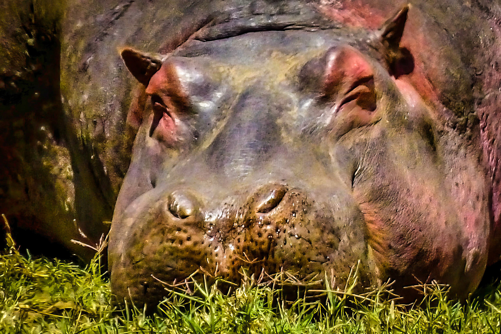 Ngorongoro Crater, Tanzania 2014