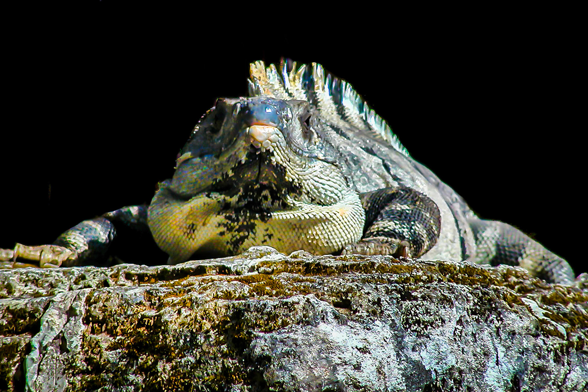 Cozumel, Mexico 2003
