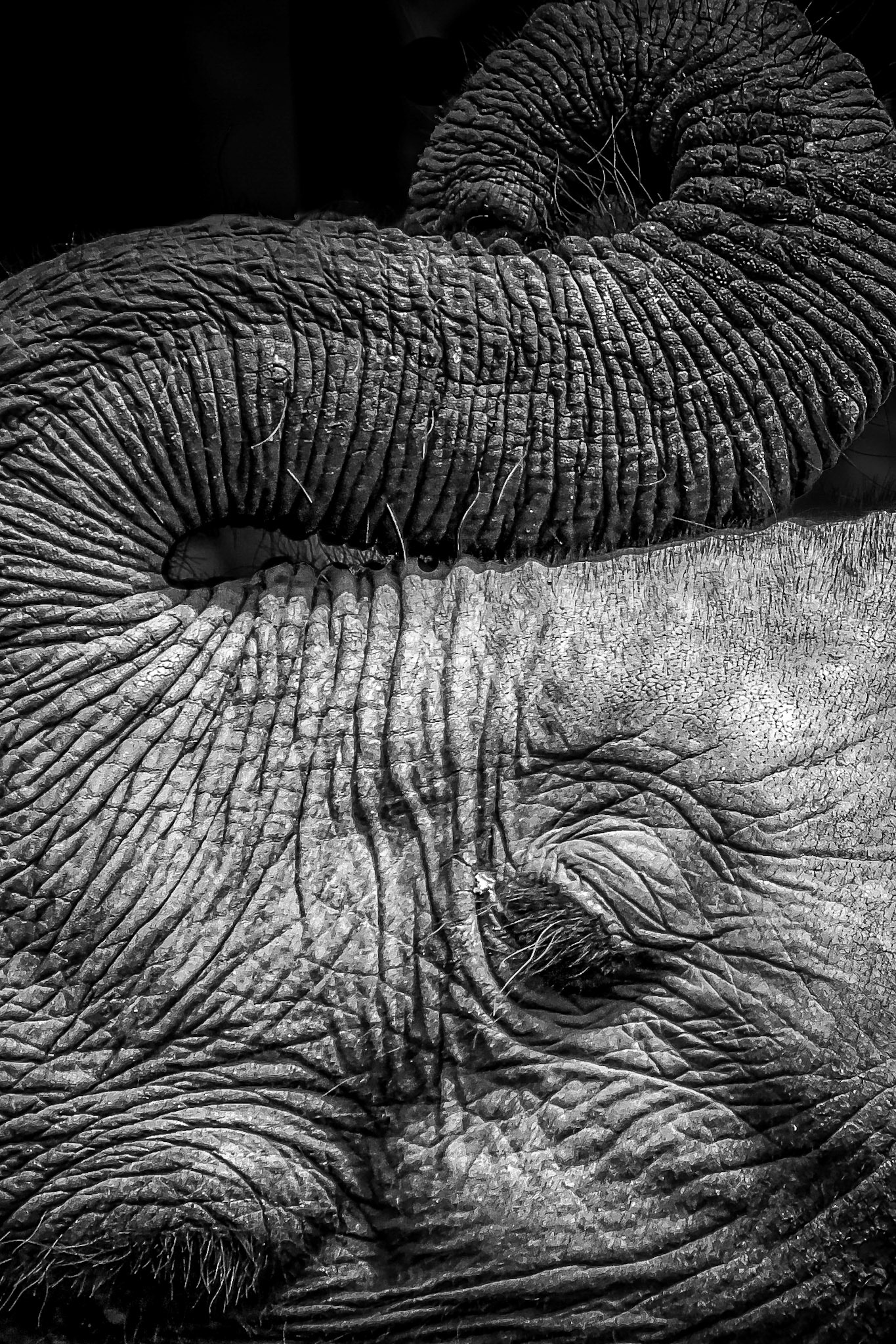 Kenya 2014