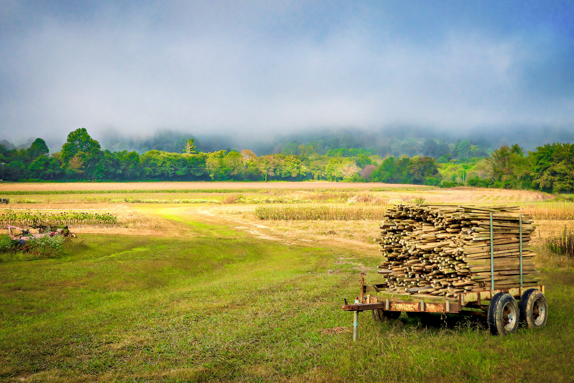 McCall's Farm, North Carolina 2020