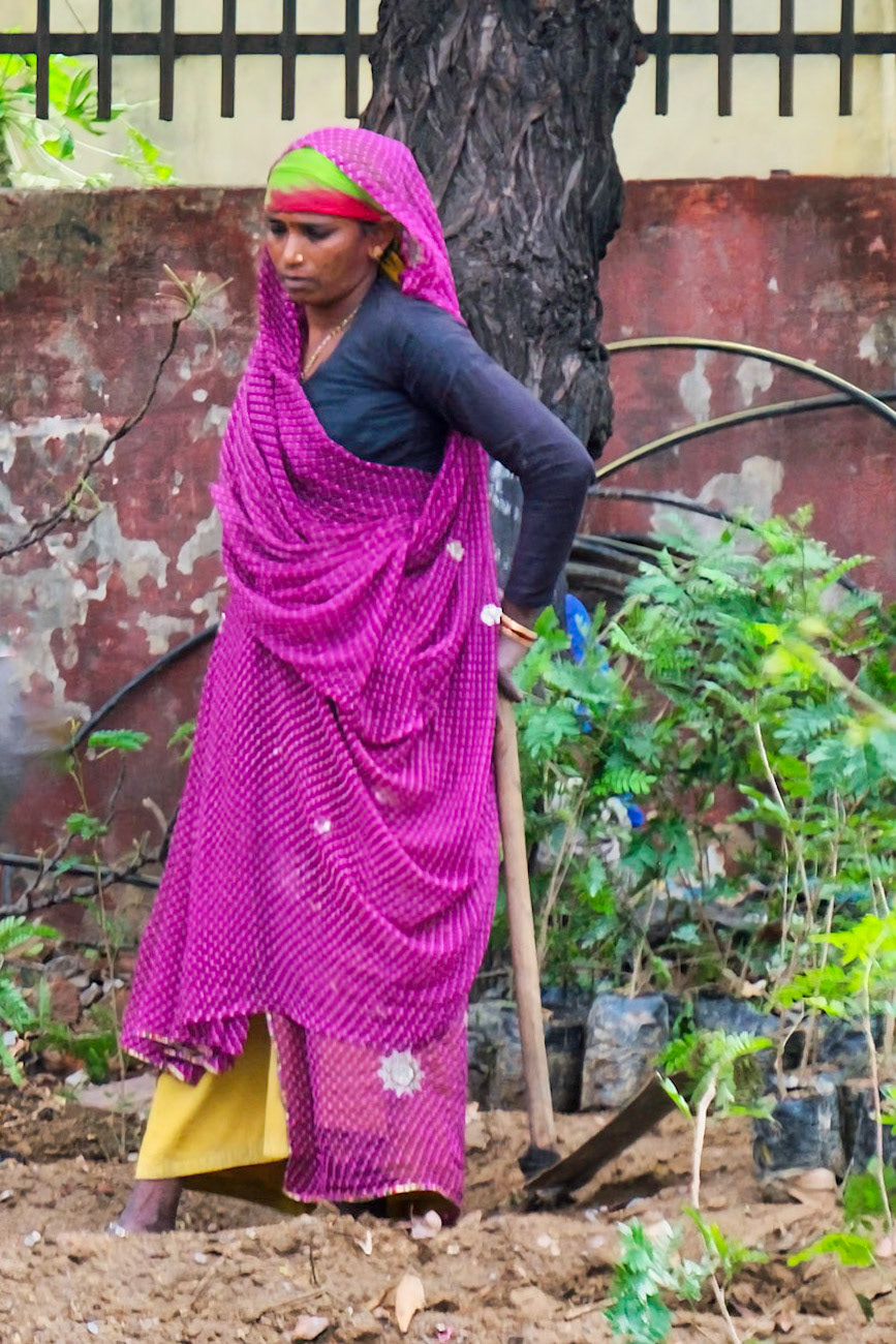 View from bus on way to Qutb Complex, woman working garden