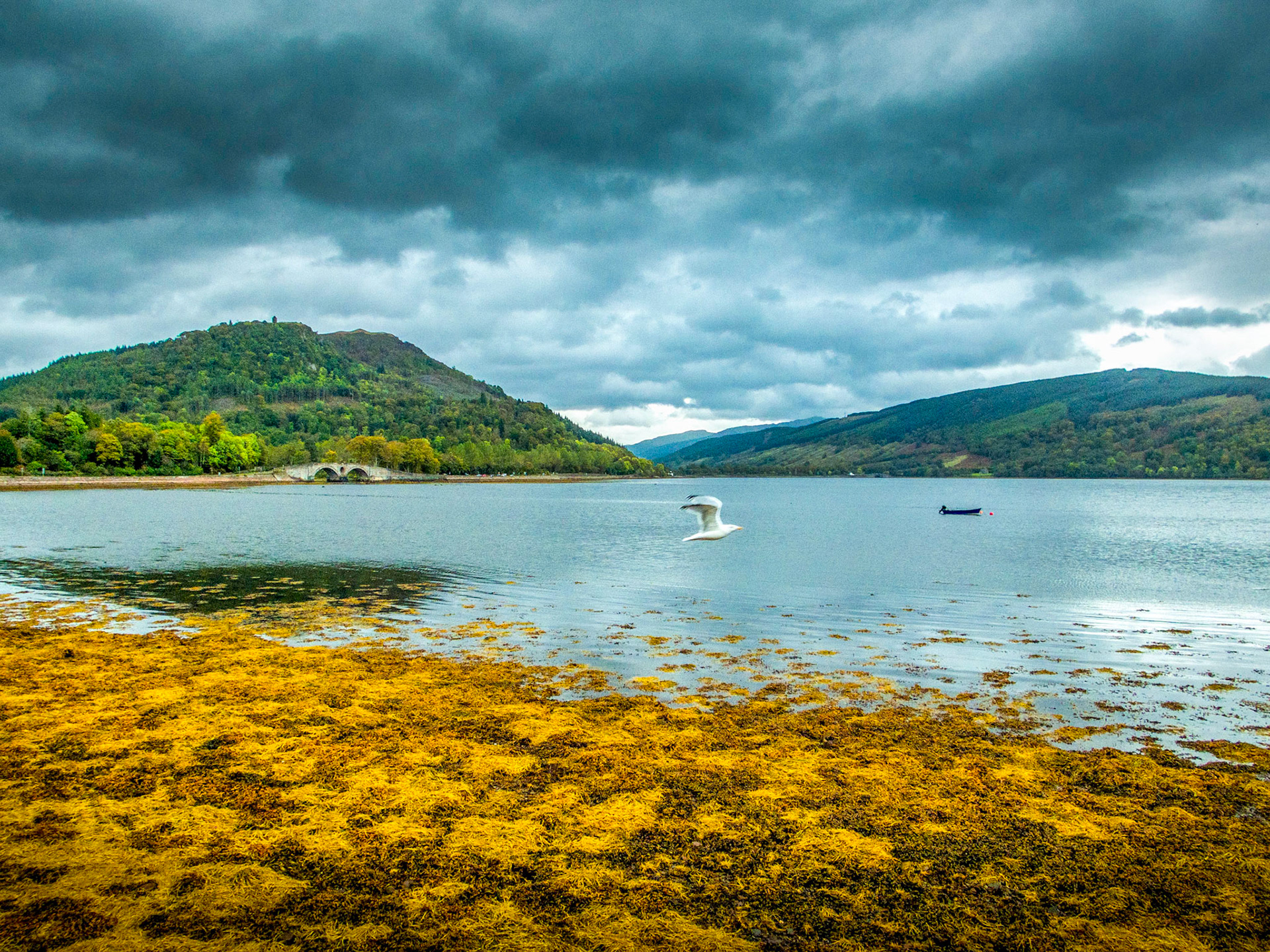 Scotland 2014