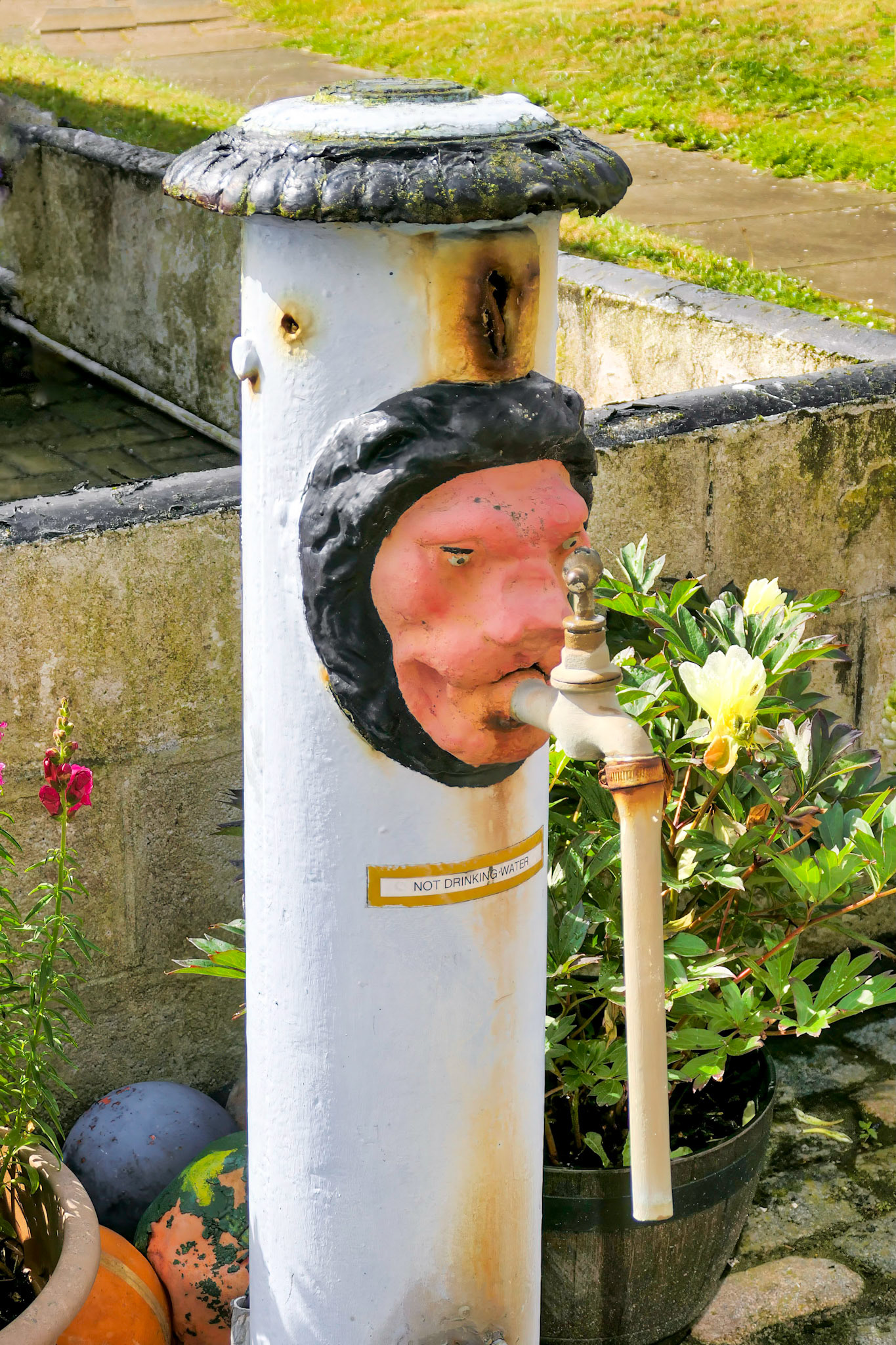 Spigot, Footdee, Aberdeen, Scotland