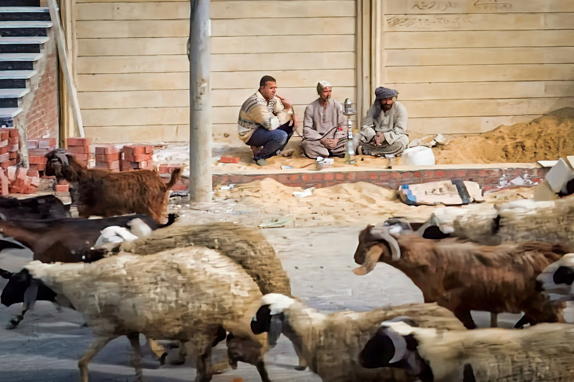 On the way from Cairo to Dashur (through bus window)
