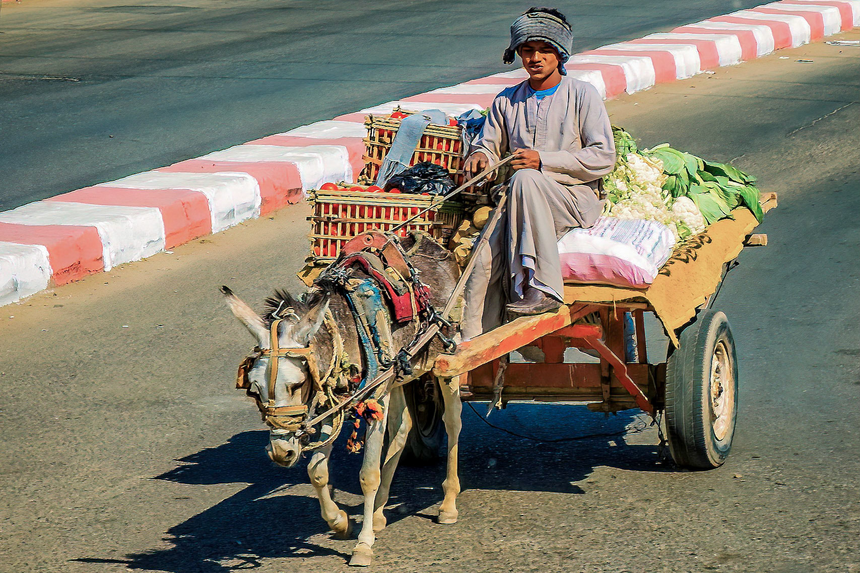 Scene from bus on way to Nubian Museum in Ashwan
