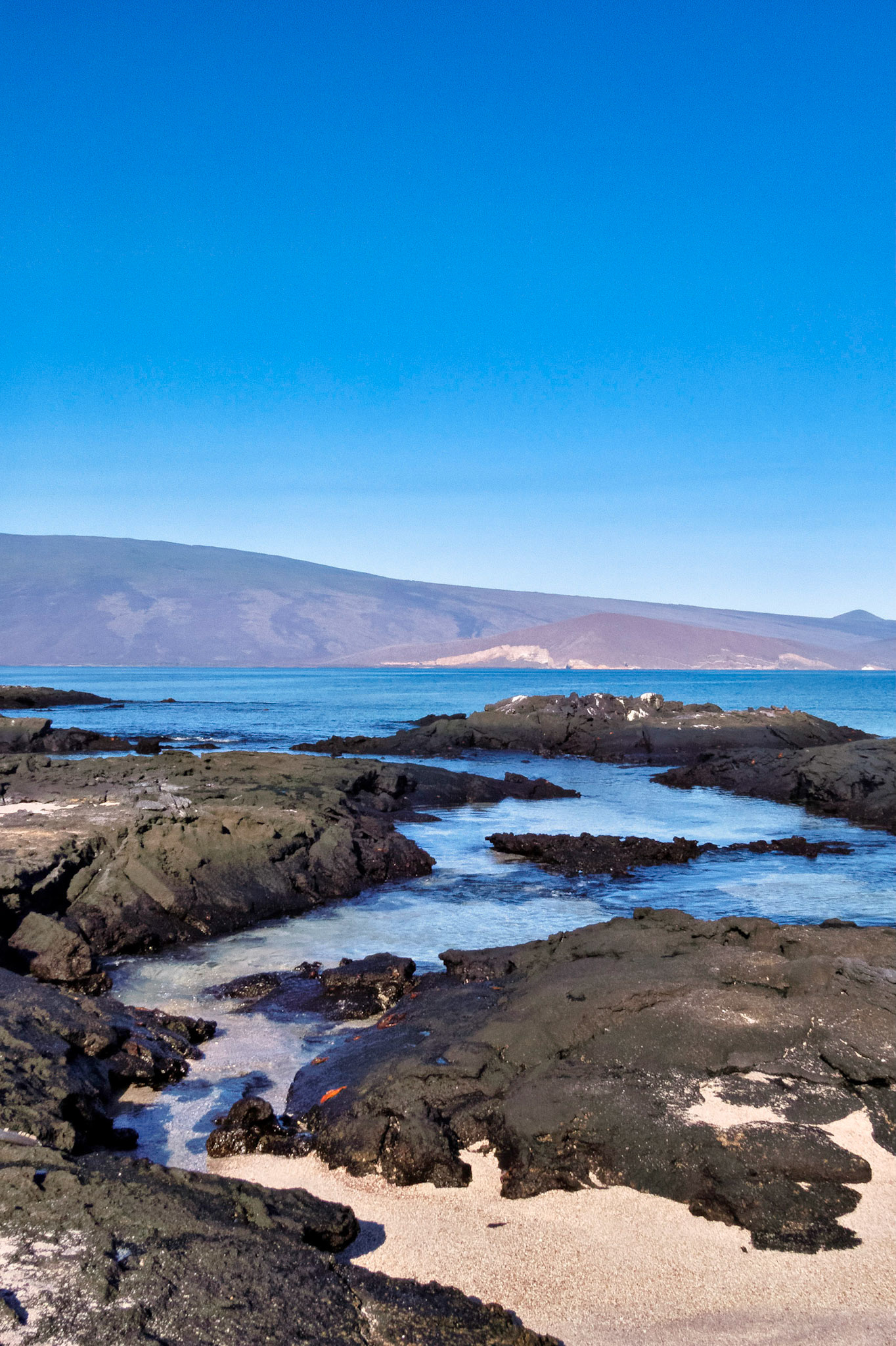 A Galapagos Island 2017