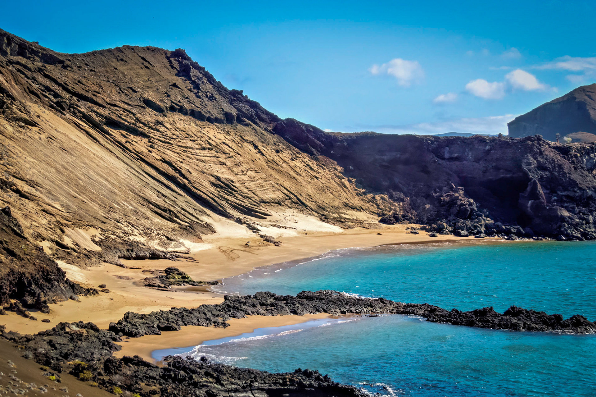 A Galapagos Island