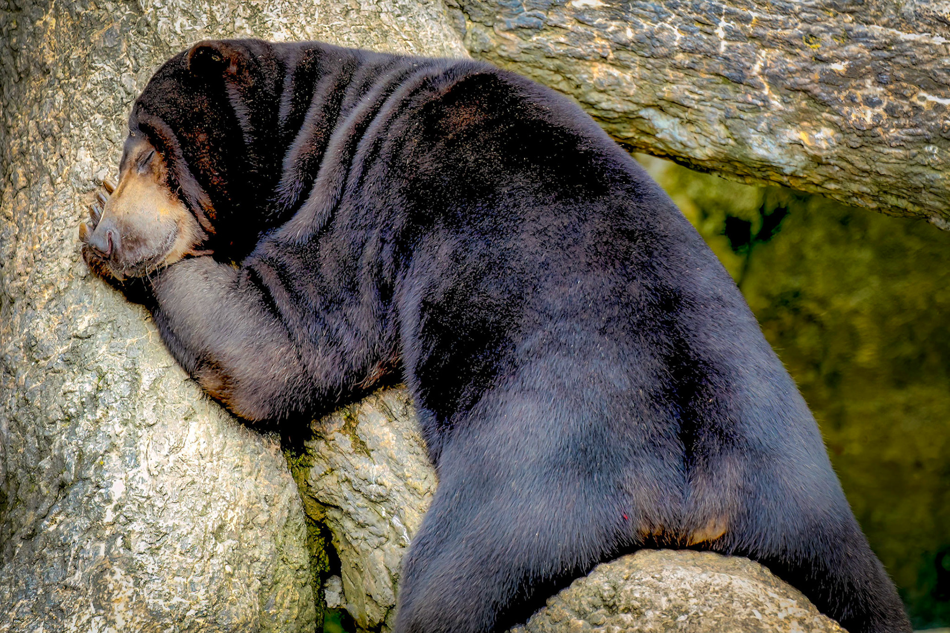 Zoo, Columbus, Ohio 2015