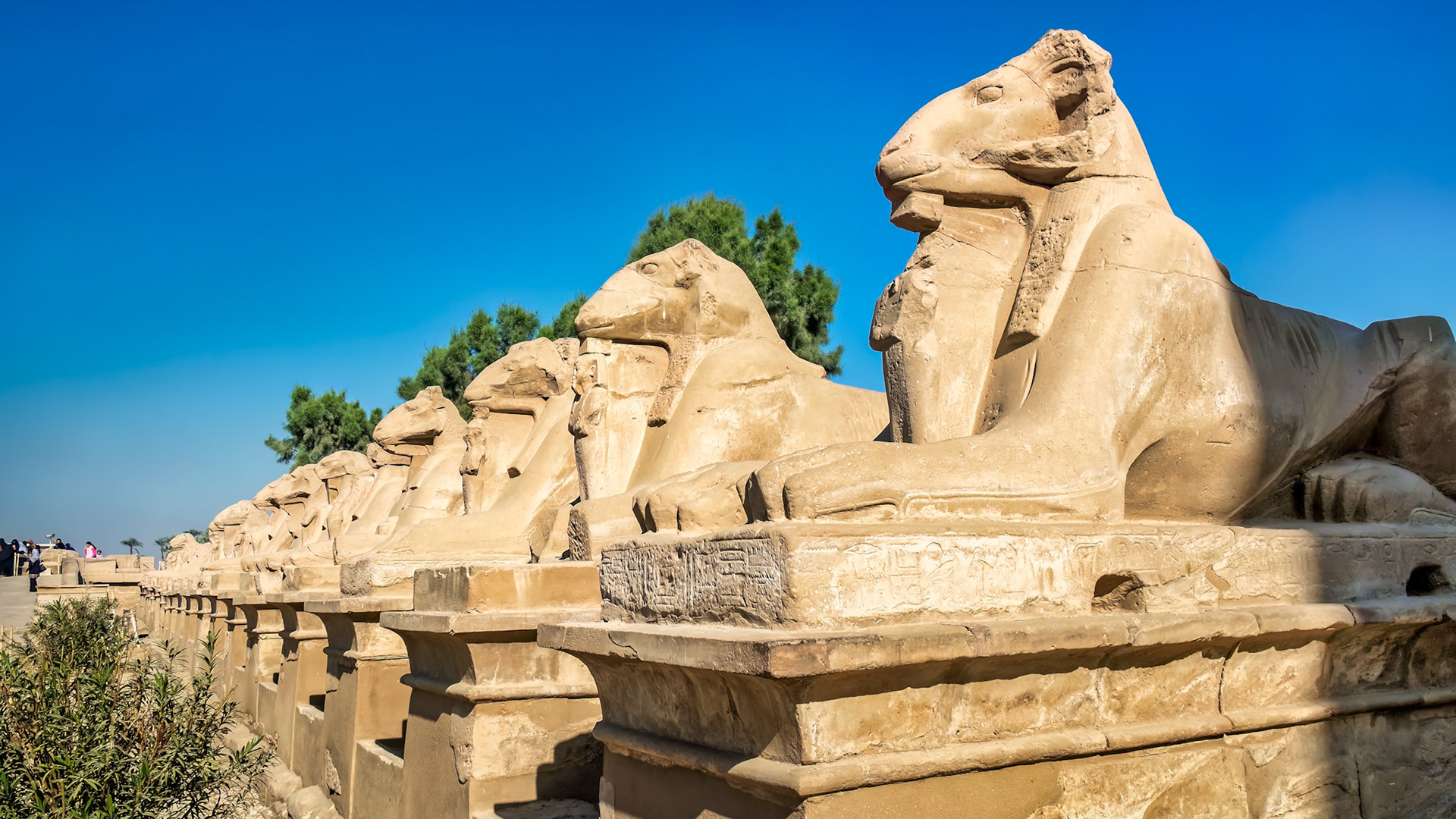 Row of ram-headed, lion-bodied sphinxes Karnac Temple, Luxor