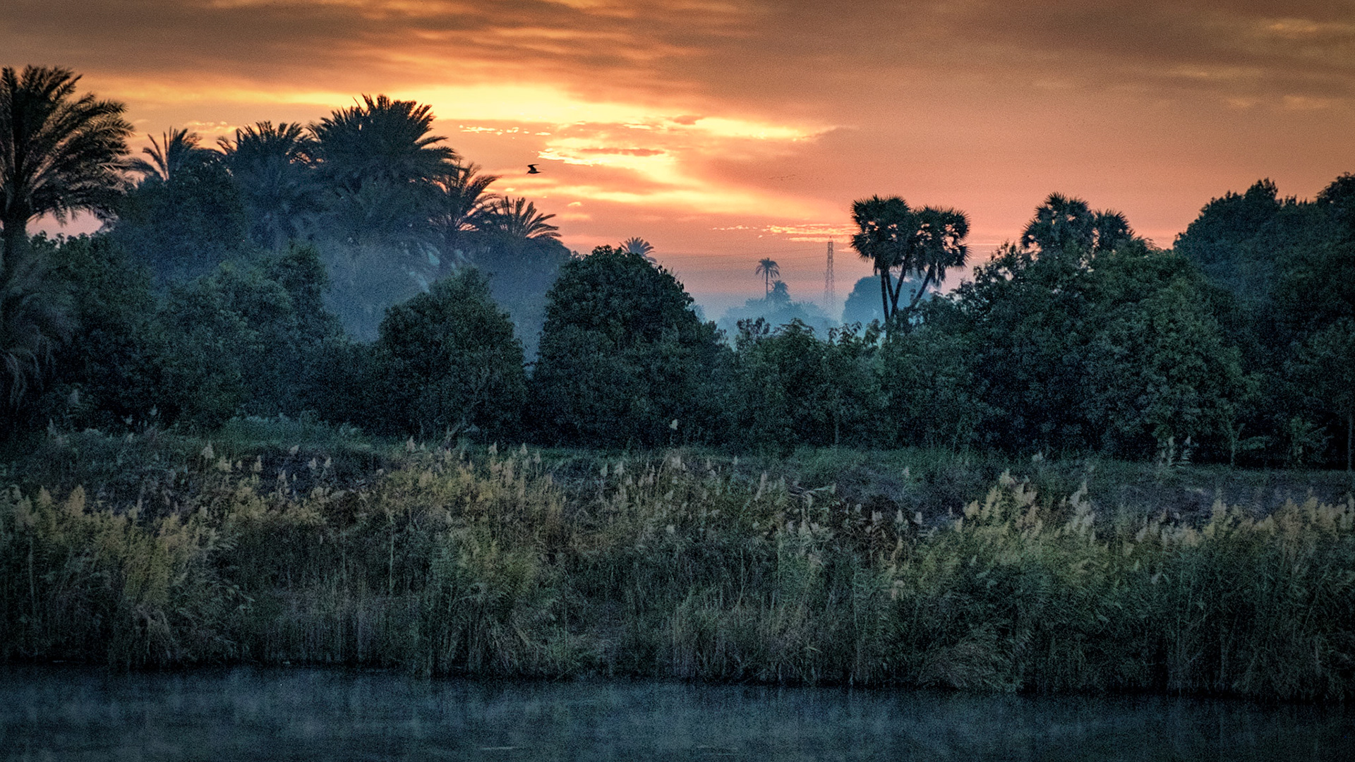 Sunset on the Nile headed north from Ashwan