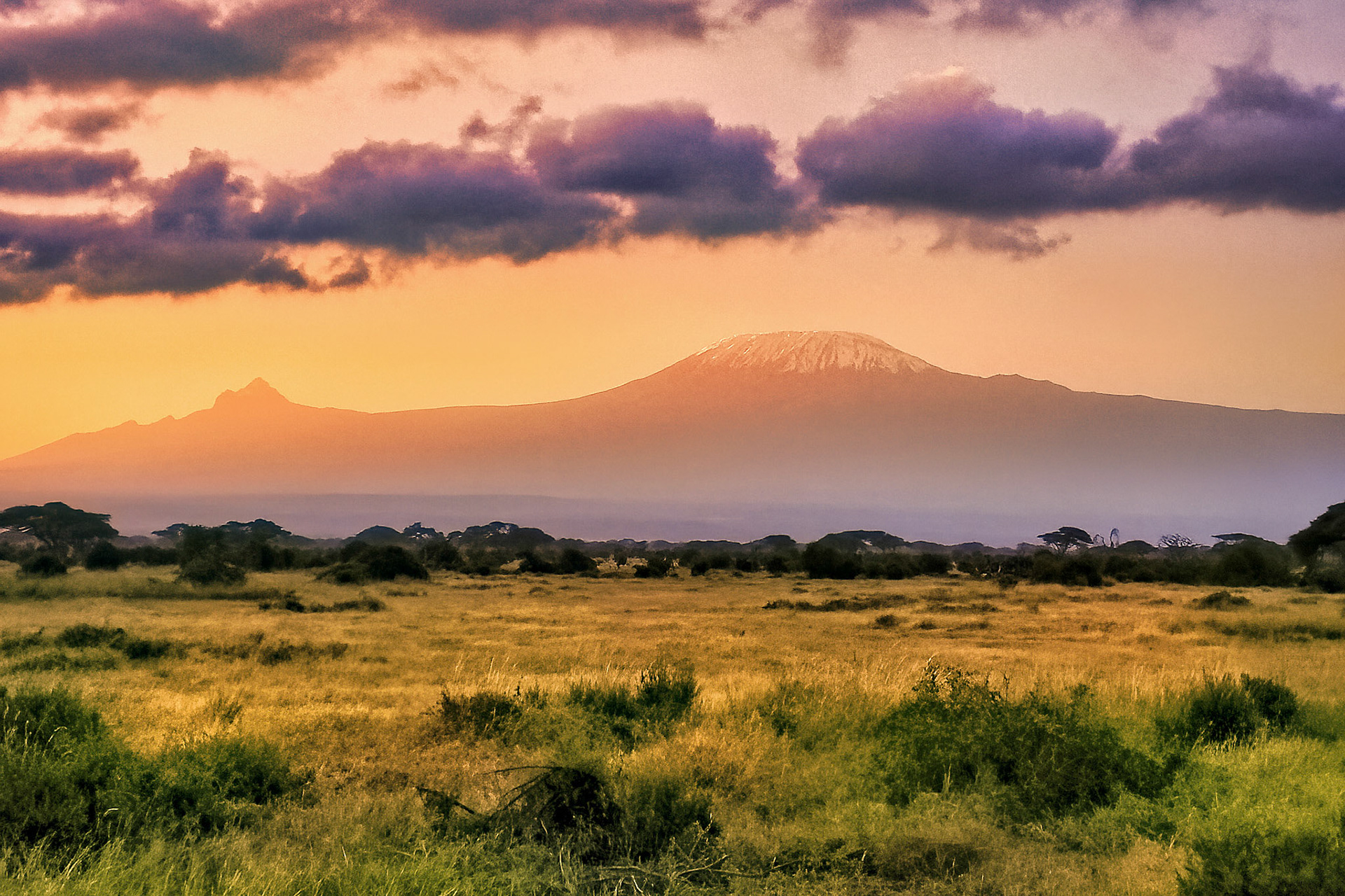 Mount Kilimanjaro, Kenya 2014
