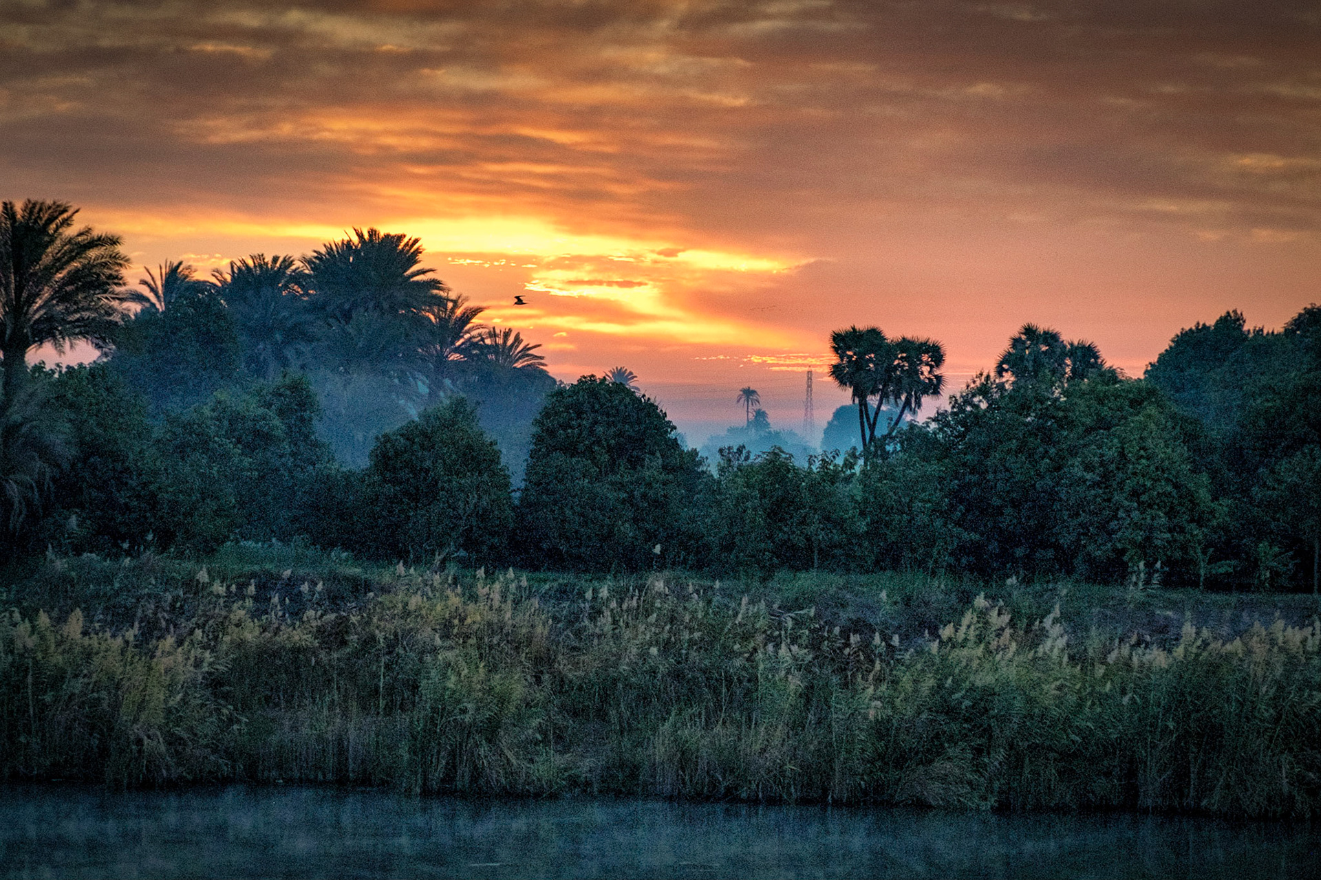 Sunset on the Nile headed north from Ashwan