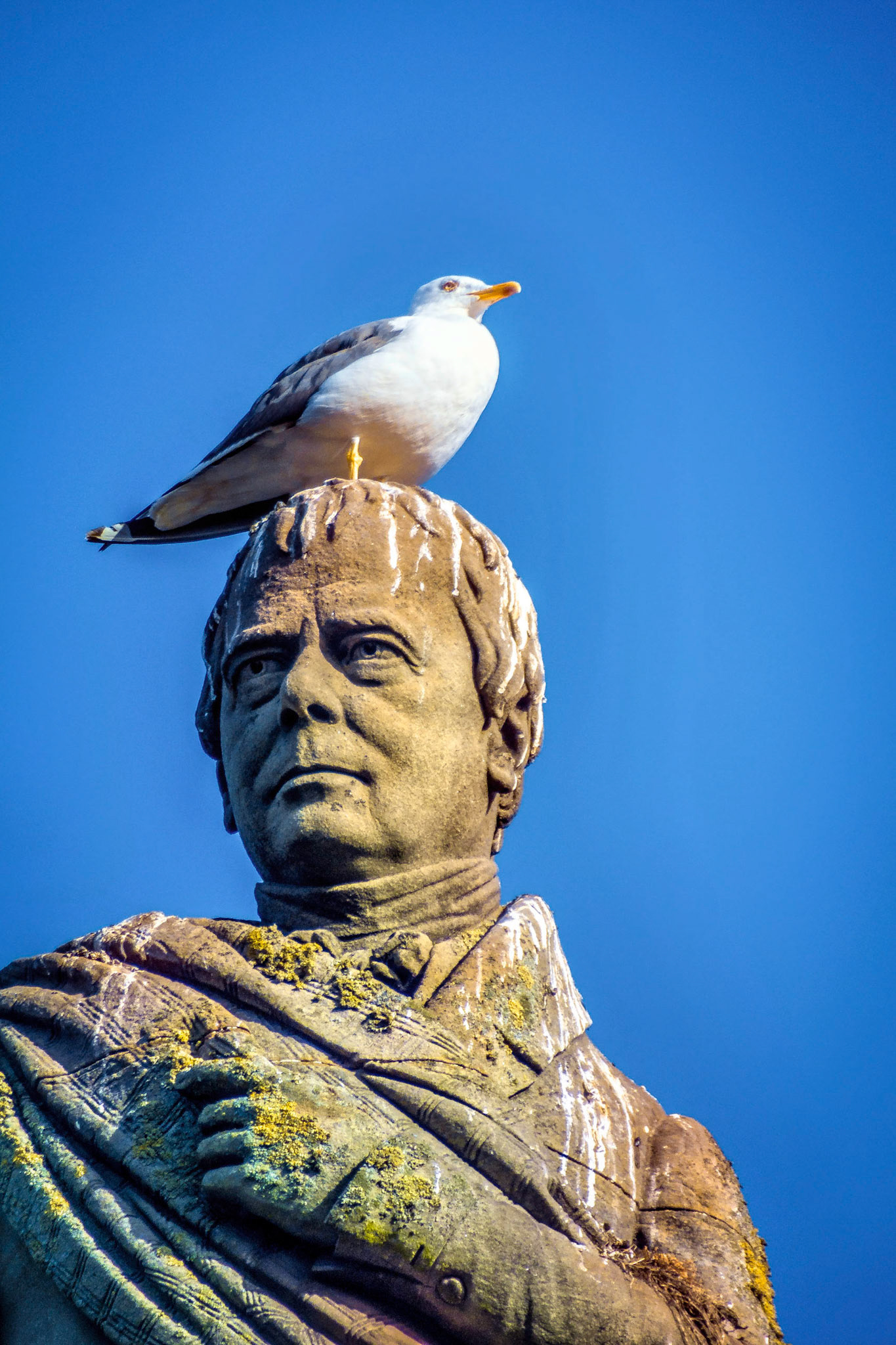 The Price of Fame, Statue of Sir Walter Scott, Glasgow, Scotland 2014