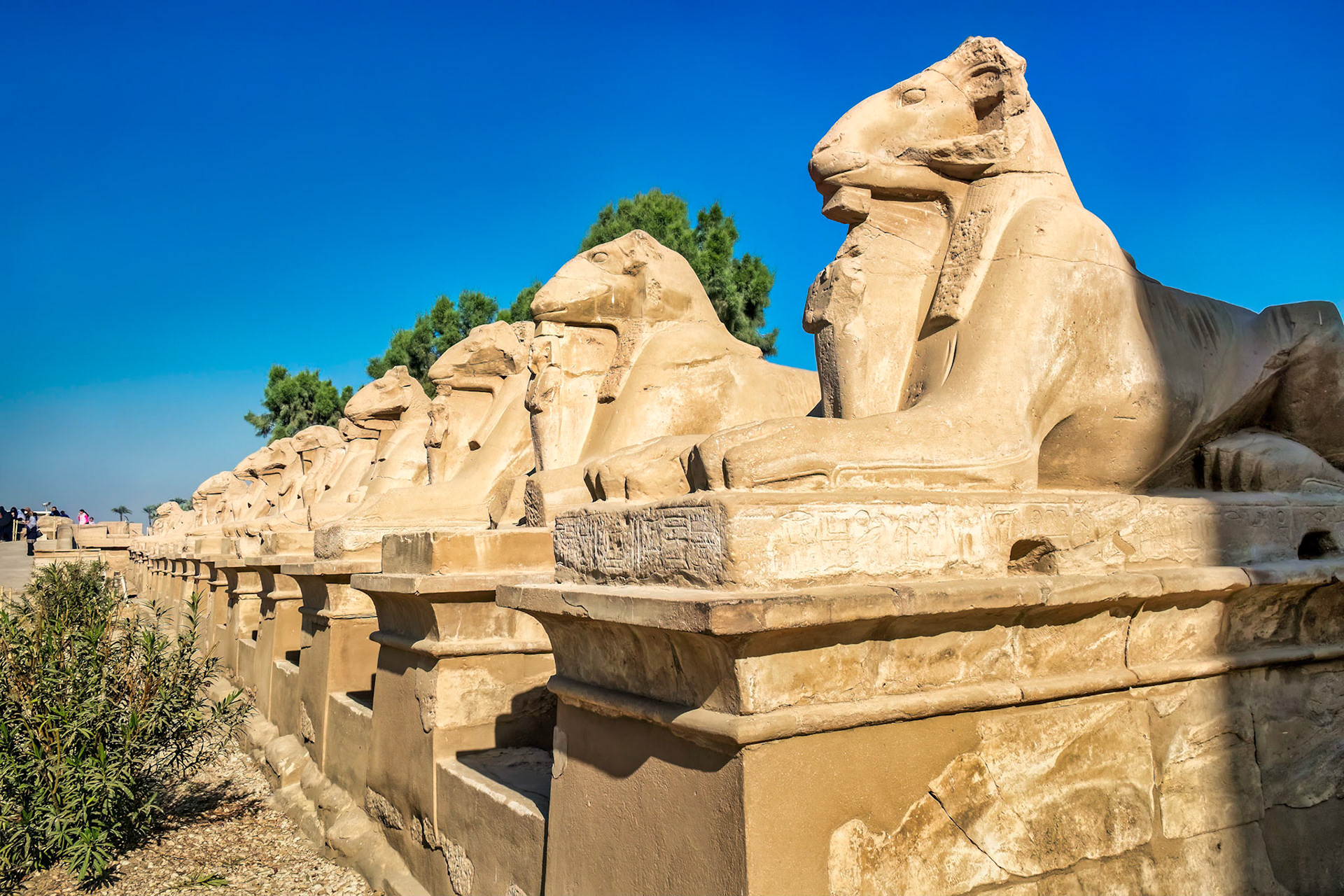 Row of ram-headed, lion-bodied sphinxes at entrance tot Karnac