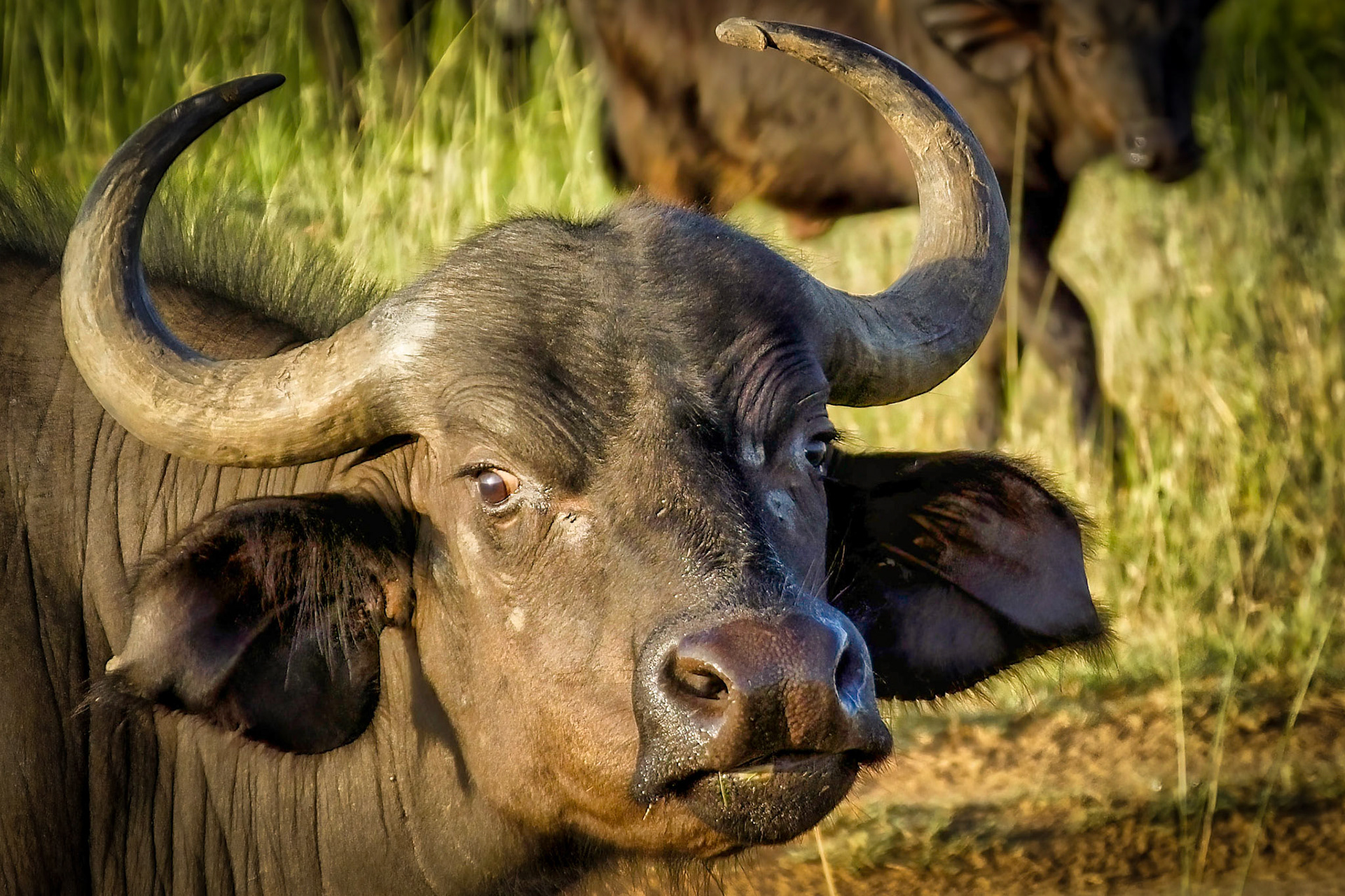 Ngorongoro Crater, Tanzania 2014