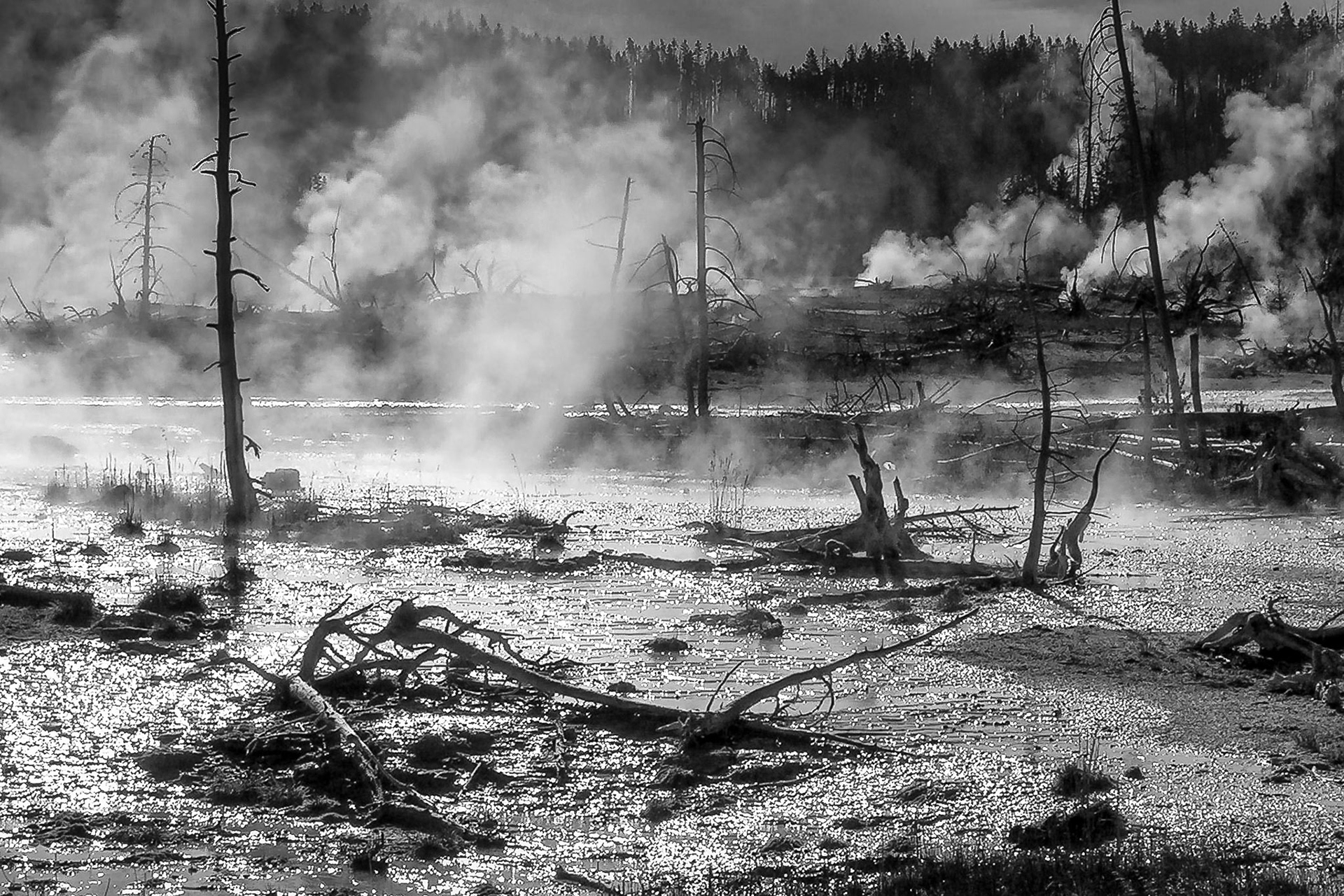 Norris Geyser Basin, Yellowstone National Park, Wyoming 2005