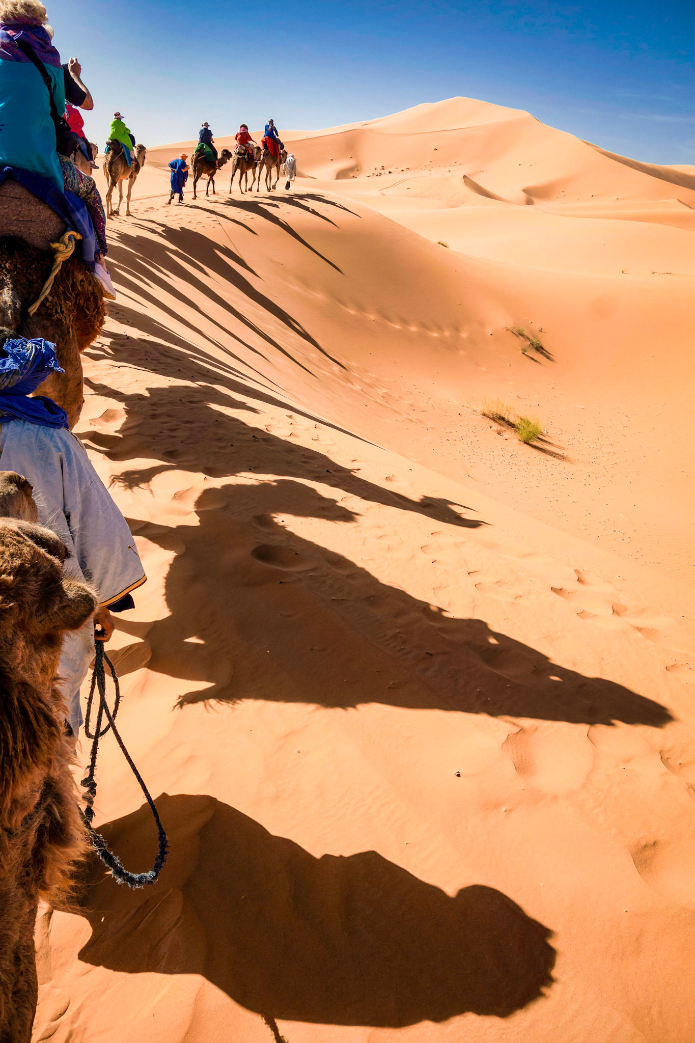 Sahara desert, Morocco 2019