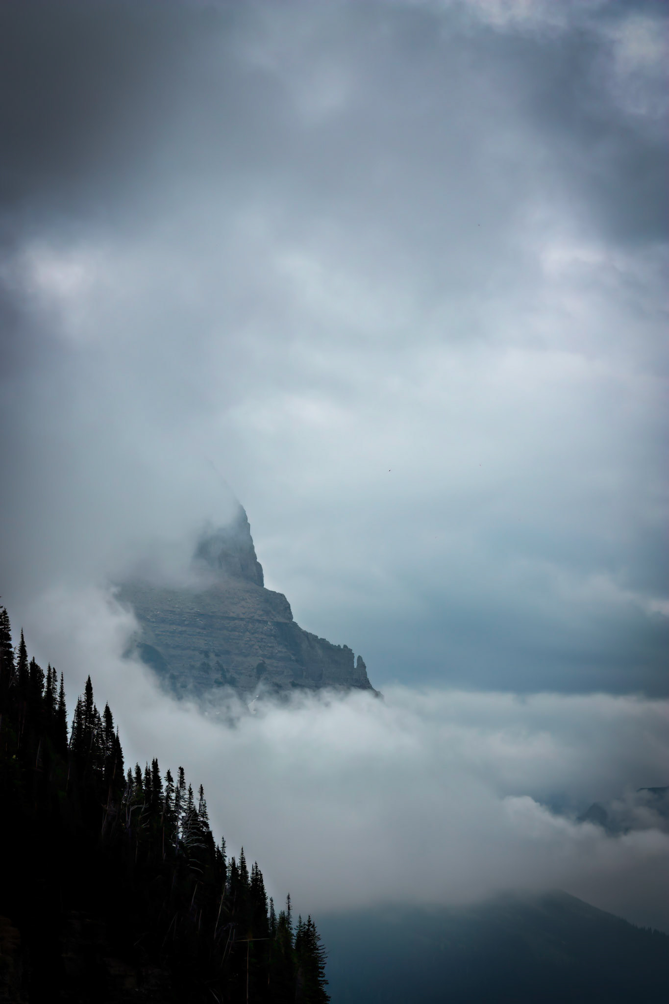Glacier National Park 2012