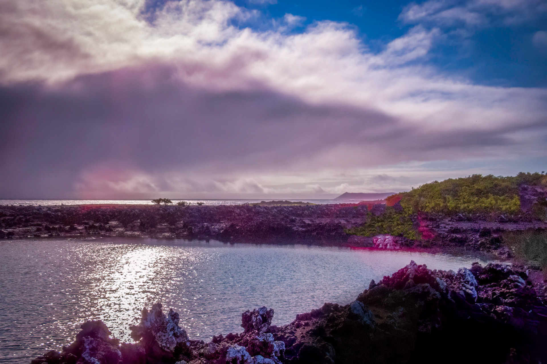 A Galapagos Island 2017
