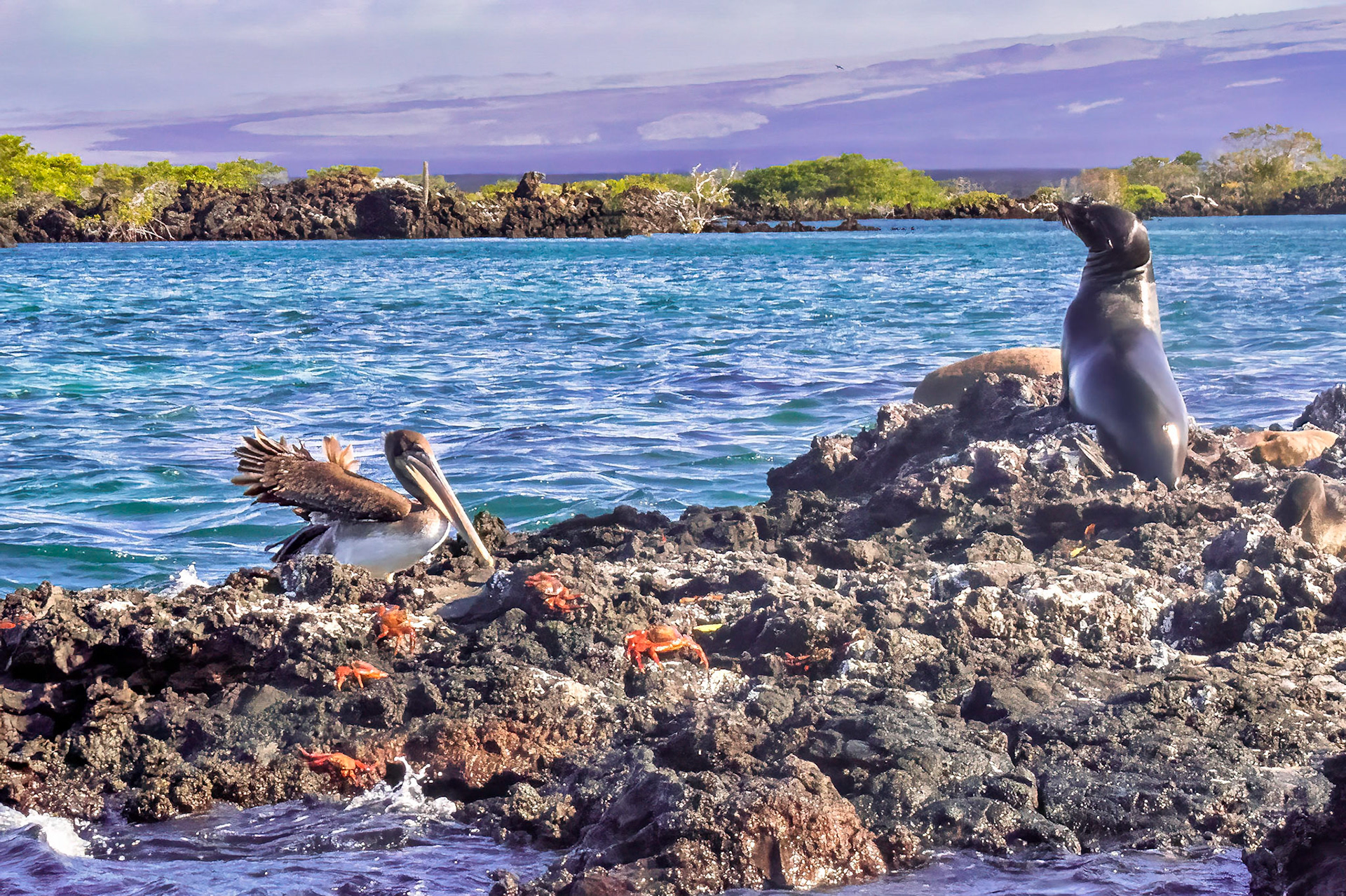 Gulapagos Islands, Ecuador 2017