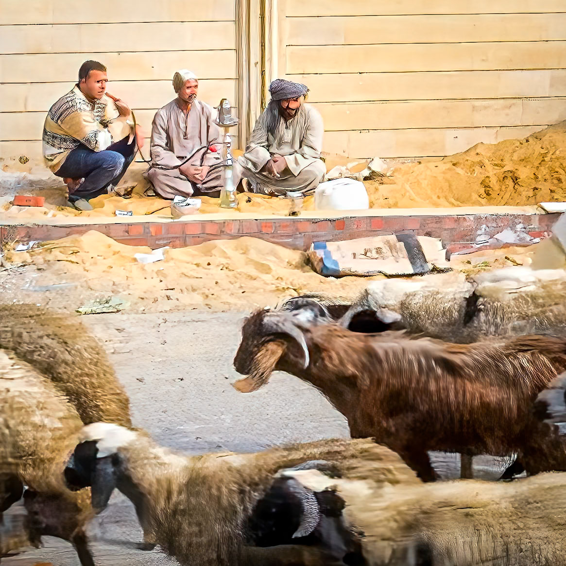 View from bus, near cairo