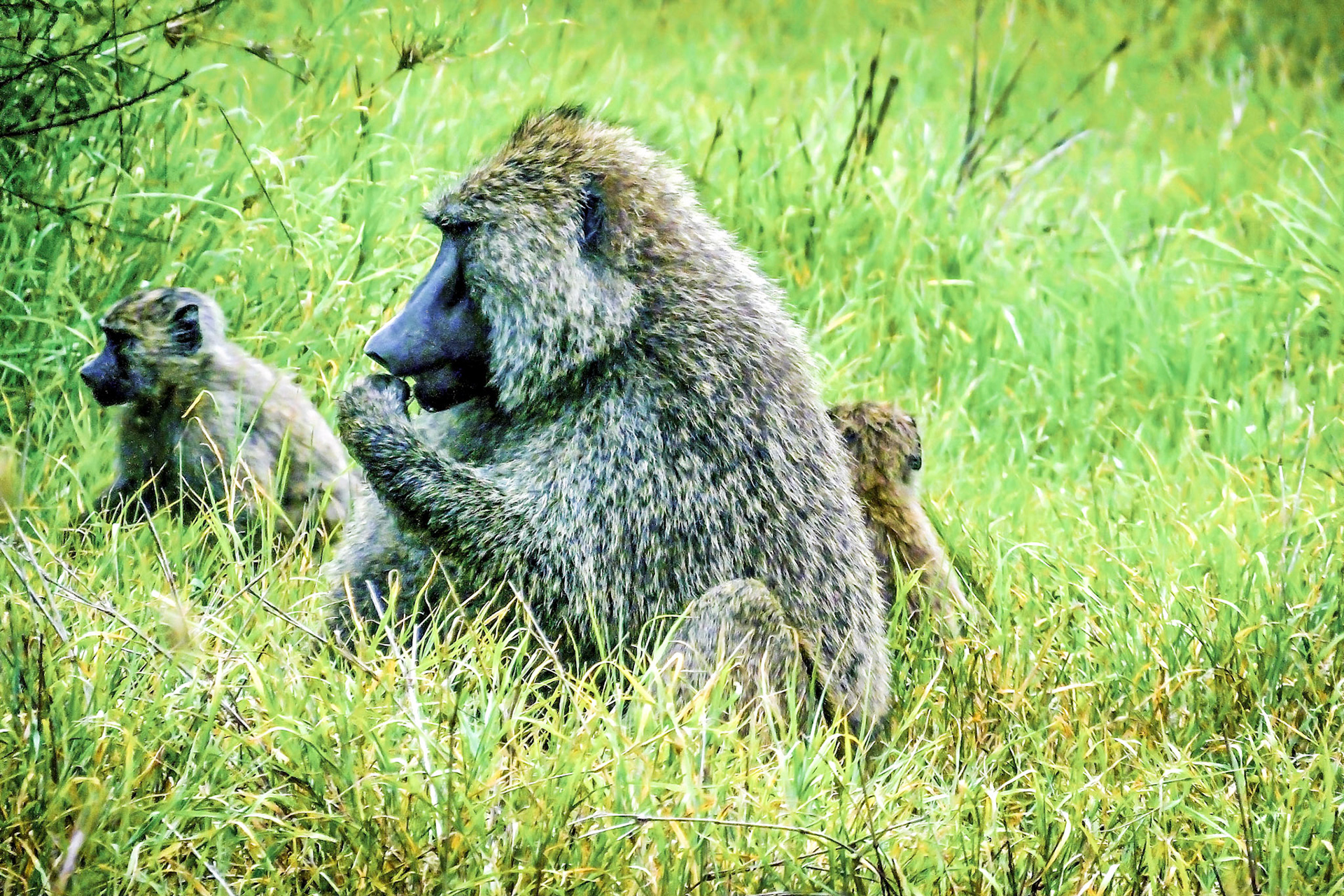 Tanzania 2014