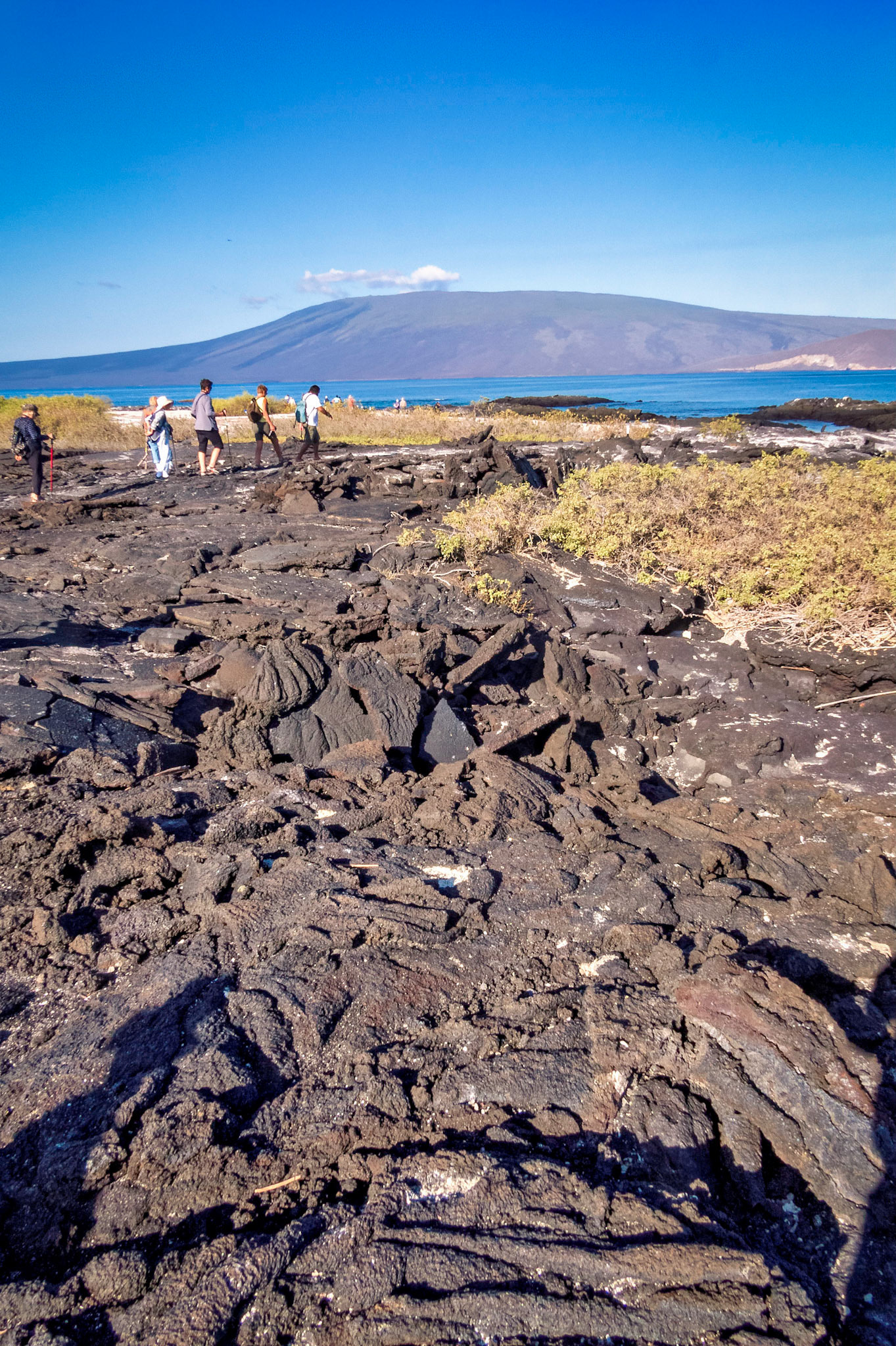 A Galapagos Island 2017