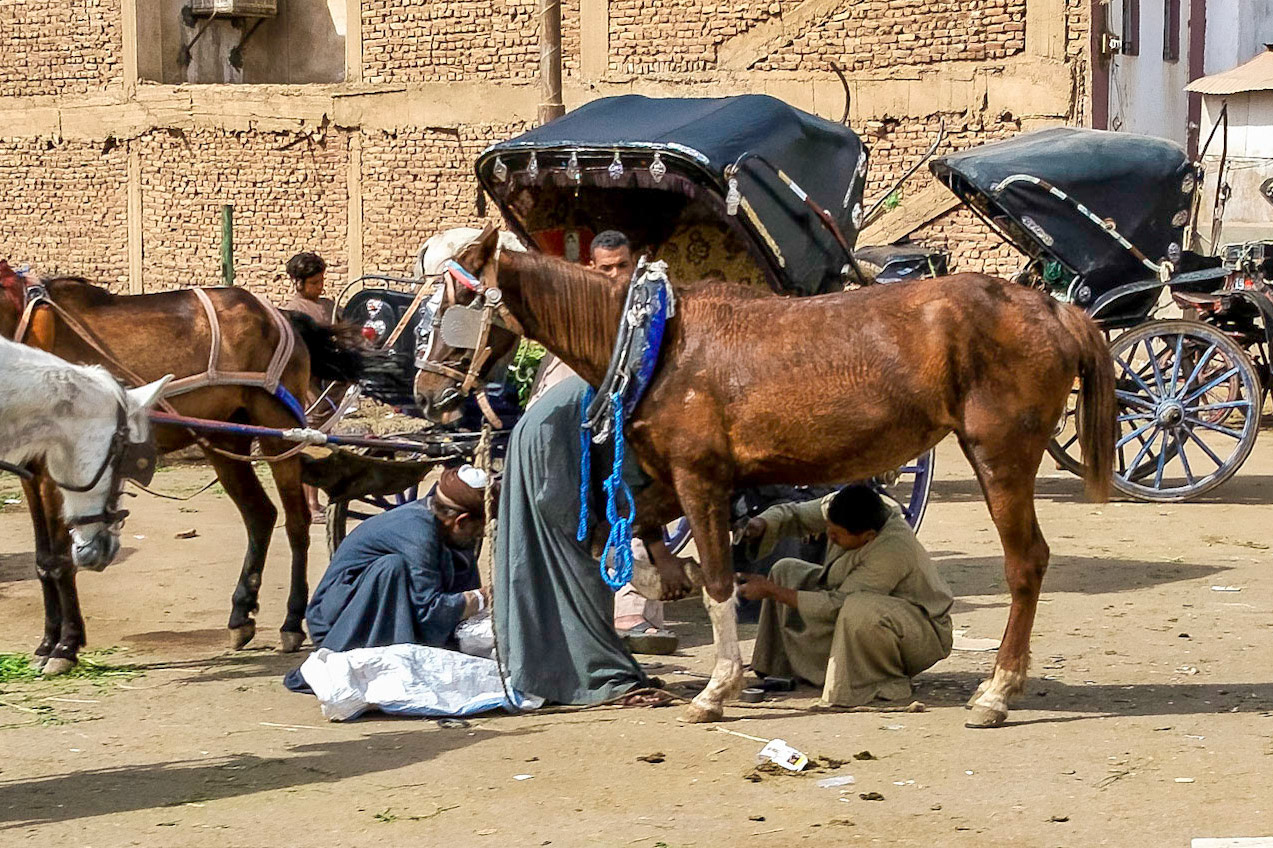 Buggies to take visitors from dock to temple at Edfu