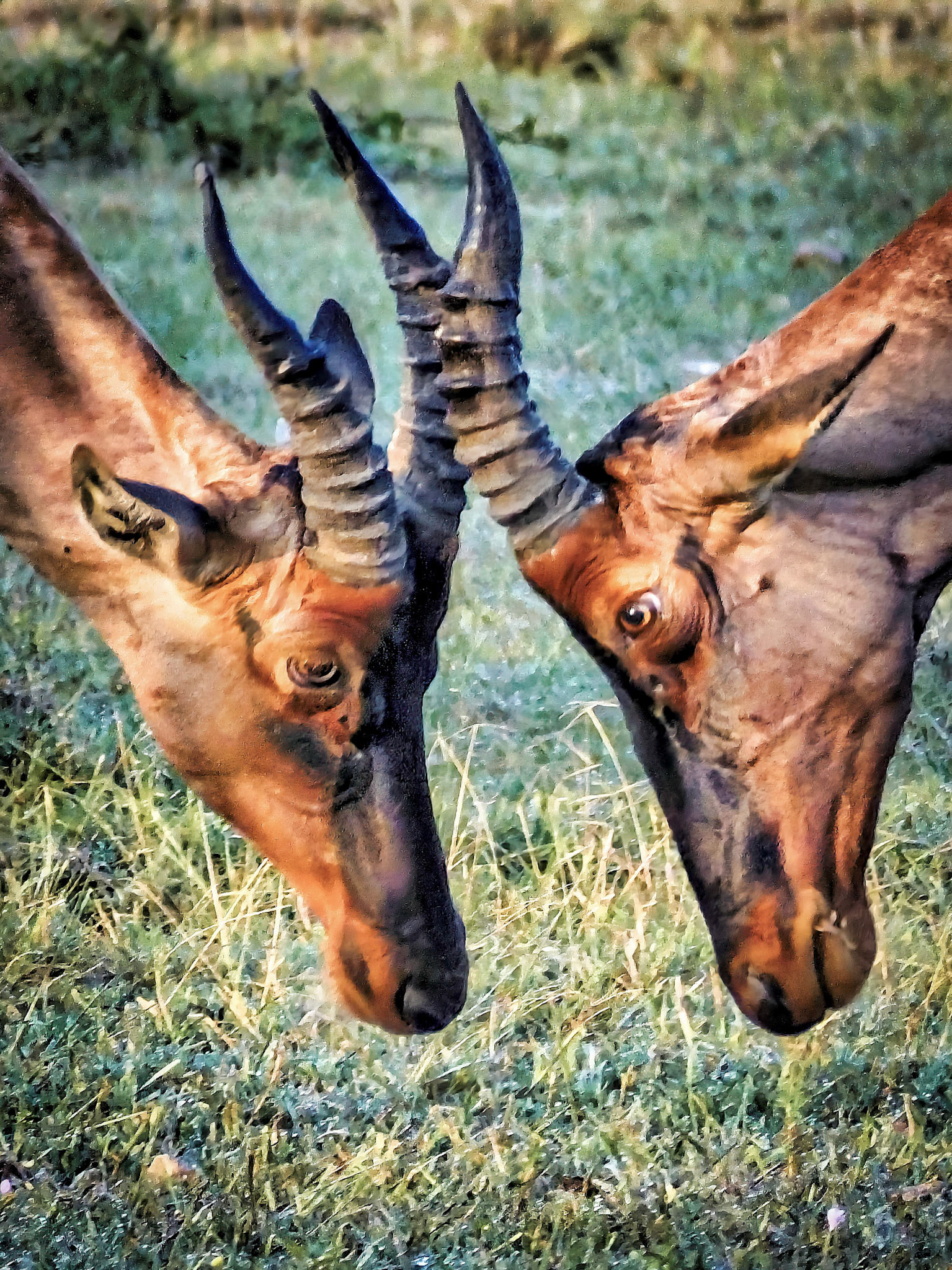 Tanzania 2014