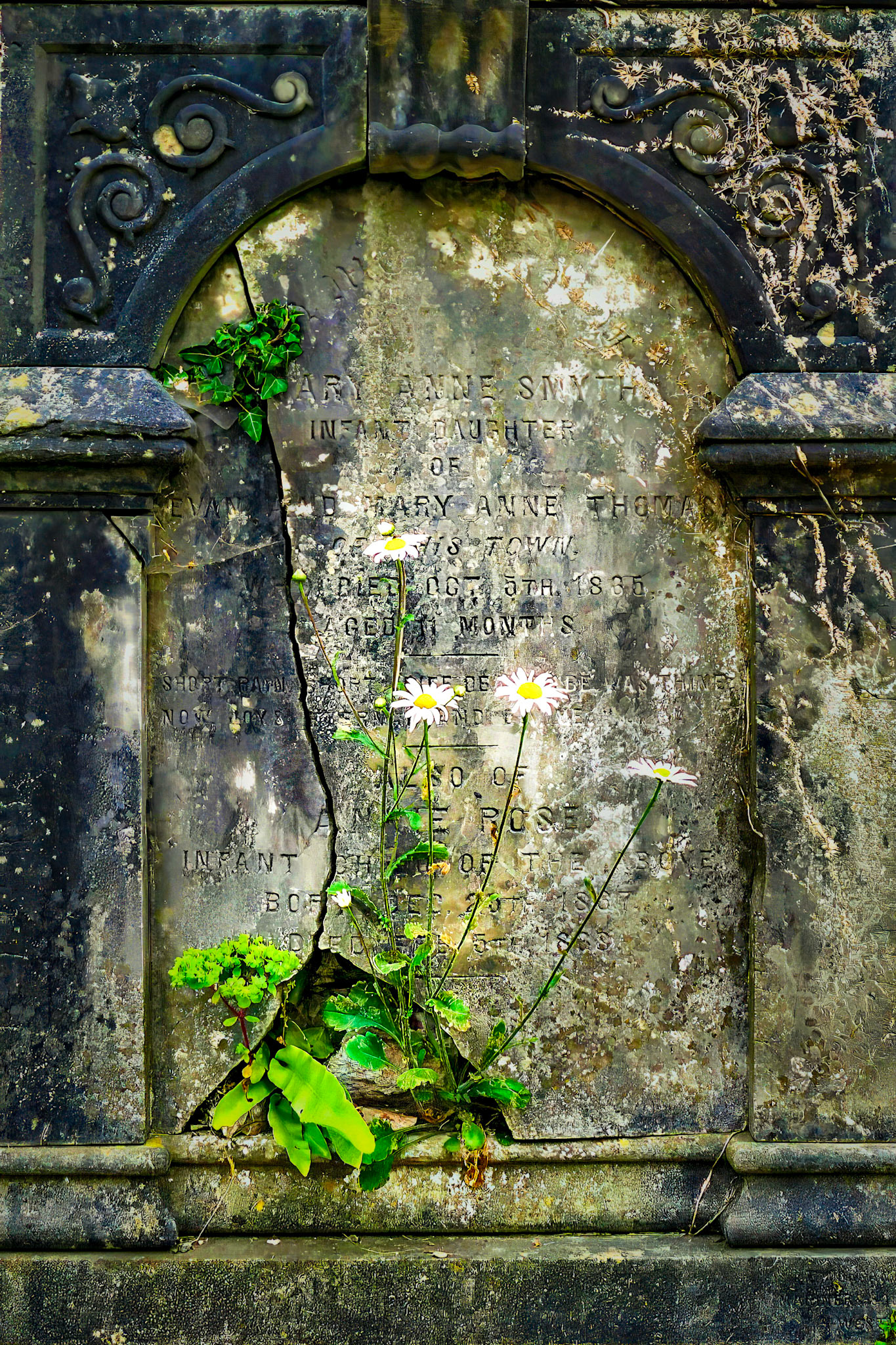 Tombstone, Fishguard, Wales
