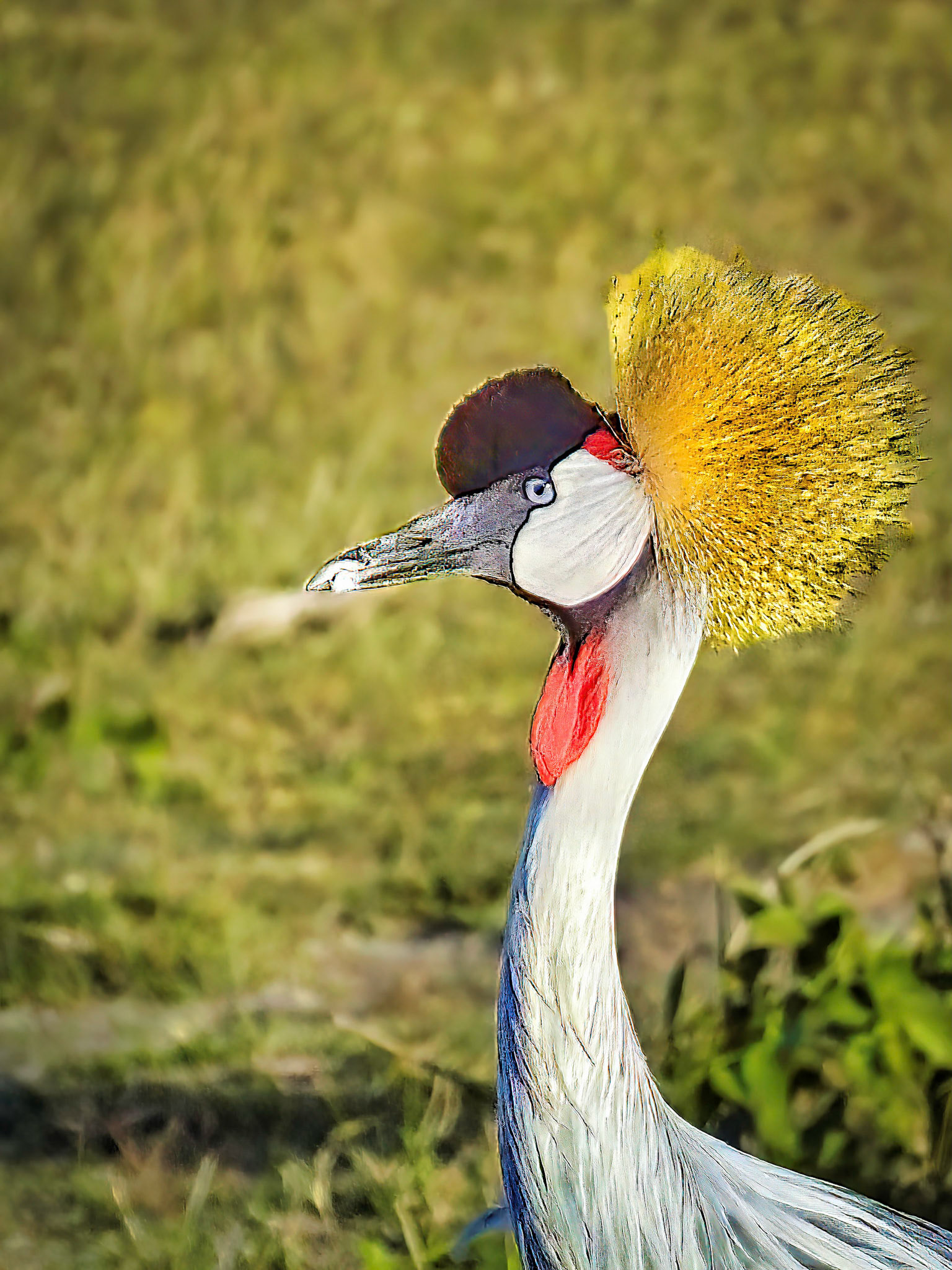 Tanzania 2014
