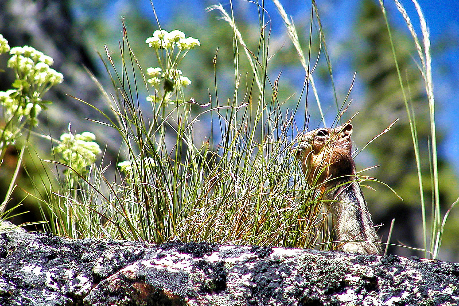 Grand Teton National Park 2005