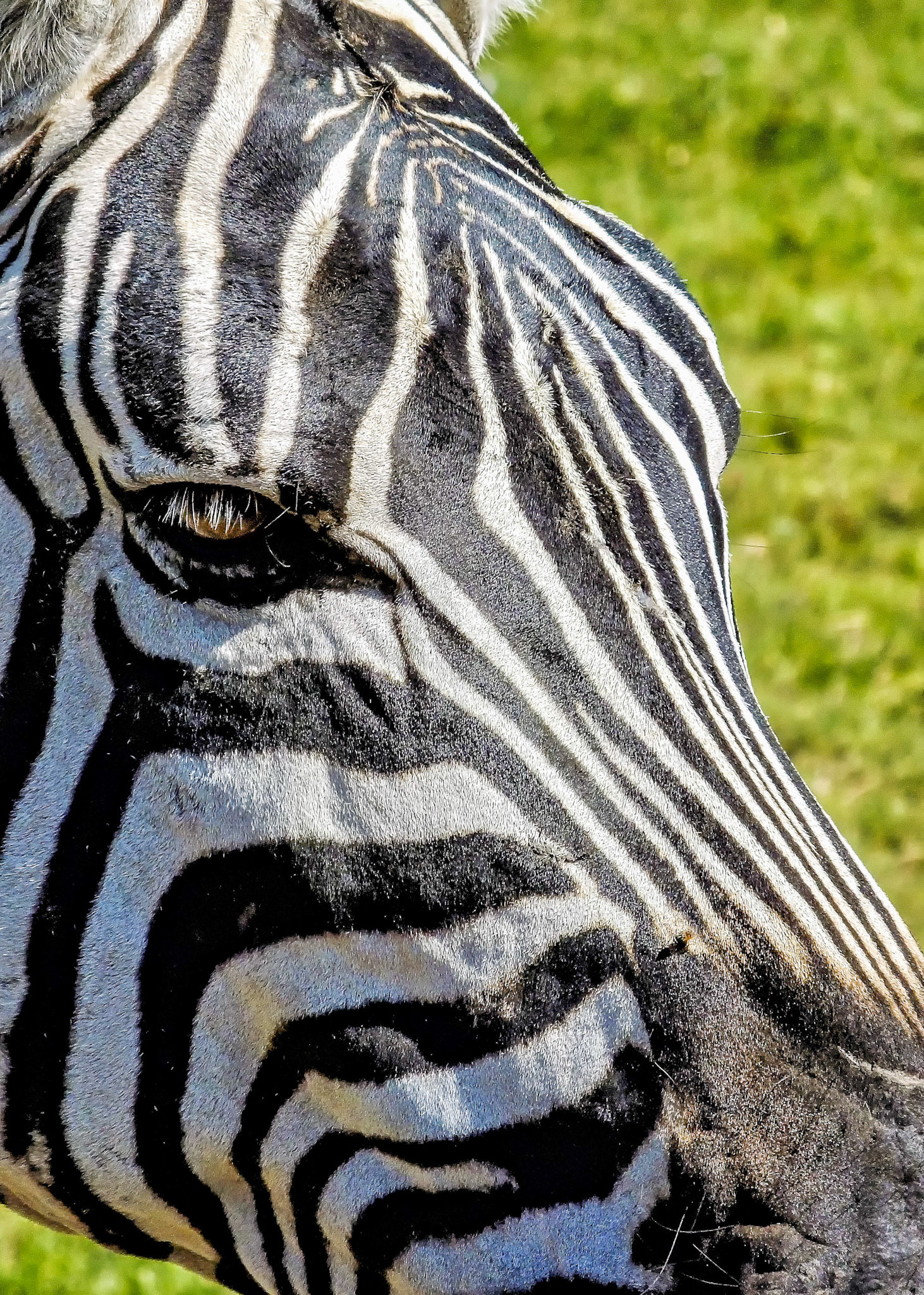 Ngorongoro Crater, Tanzania 2014