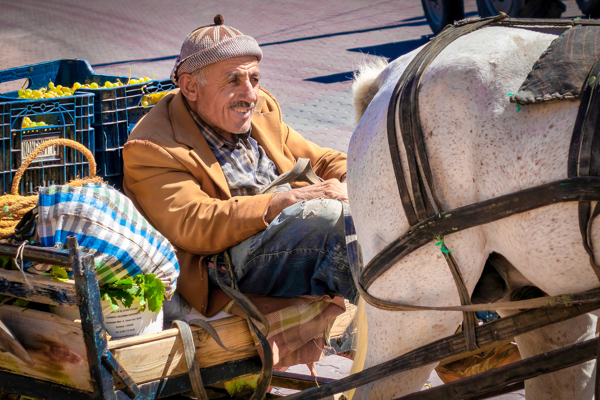 Day 6 Cart driver in Çat