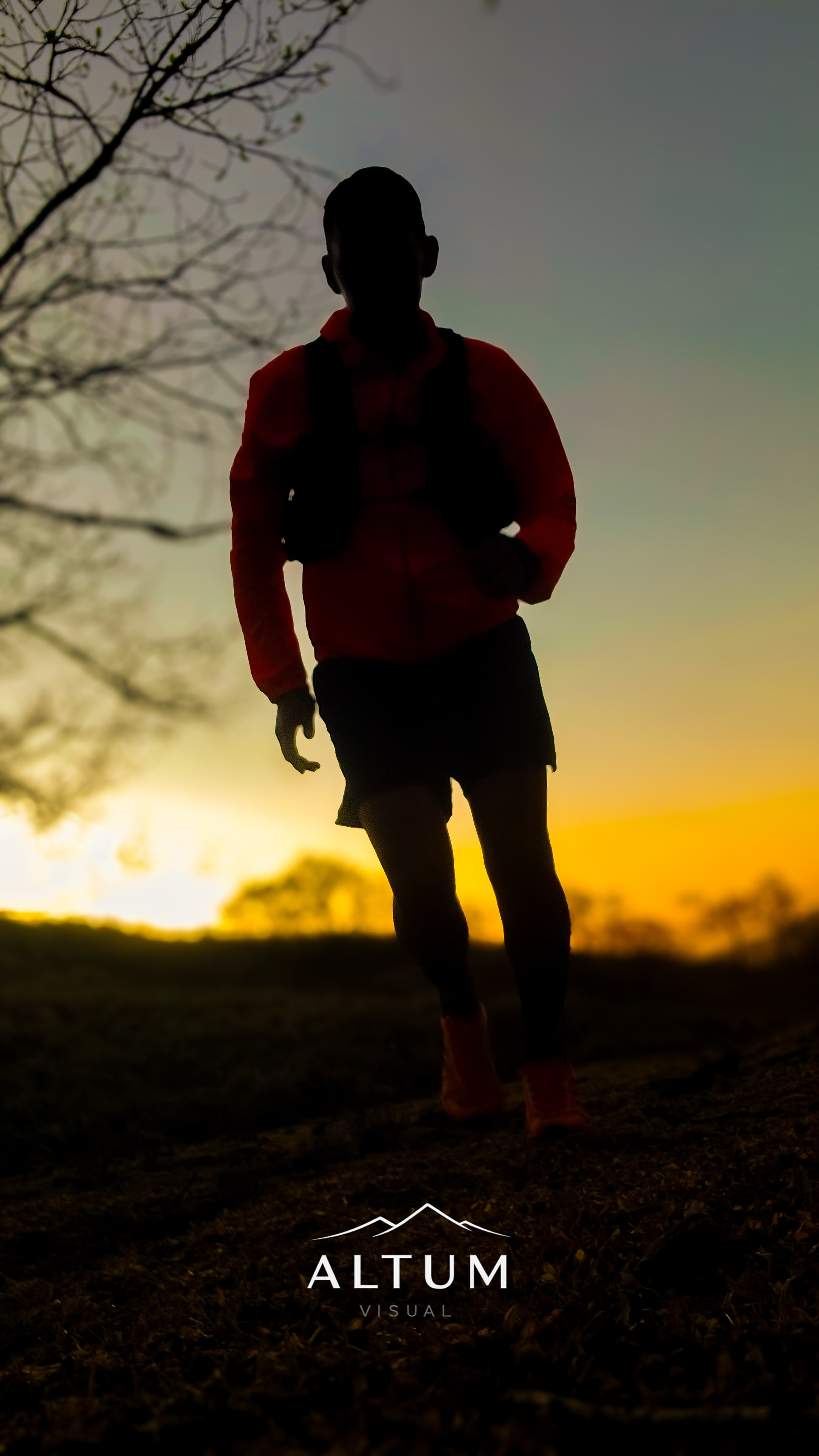 Contraluz del Caminante