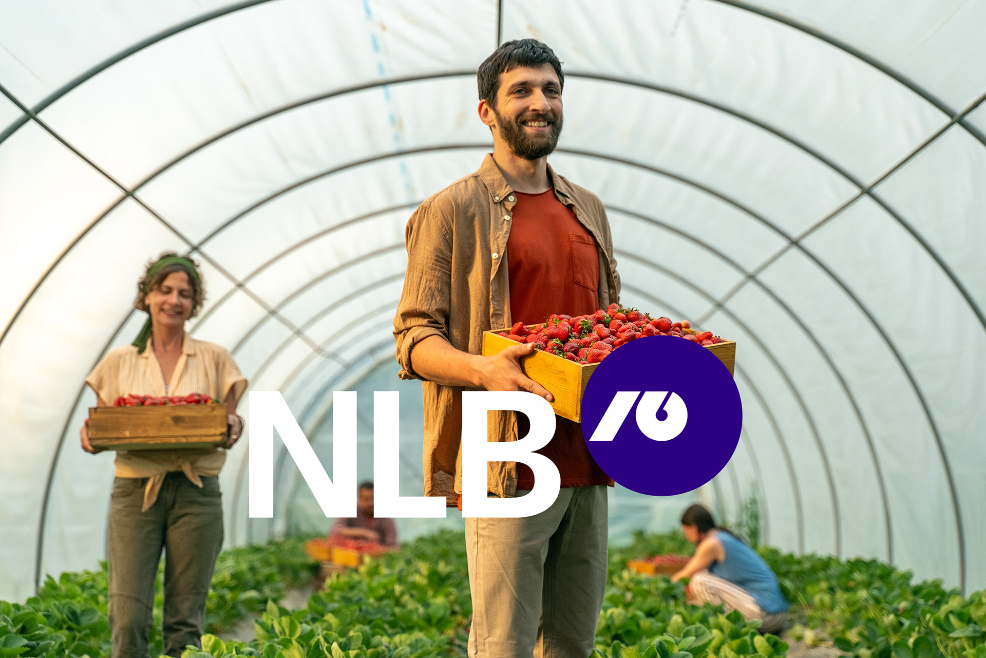 NLB Bank for Focused production