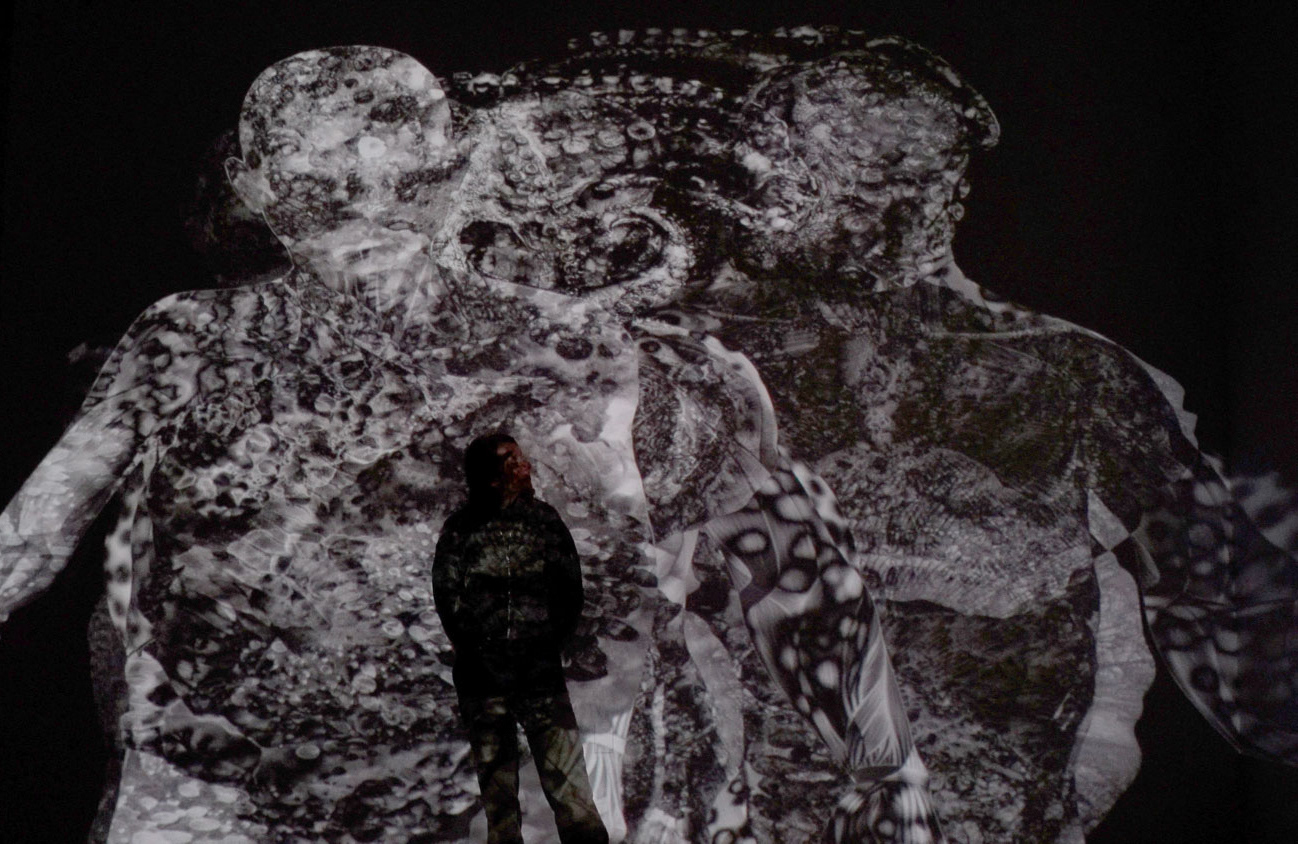 CYBOTAGE (detail), 2025, animation installation with sound, 4:20 minutes, Catharine Clark Gallery, San Francisco.