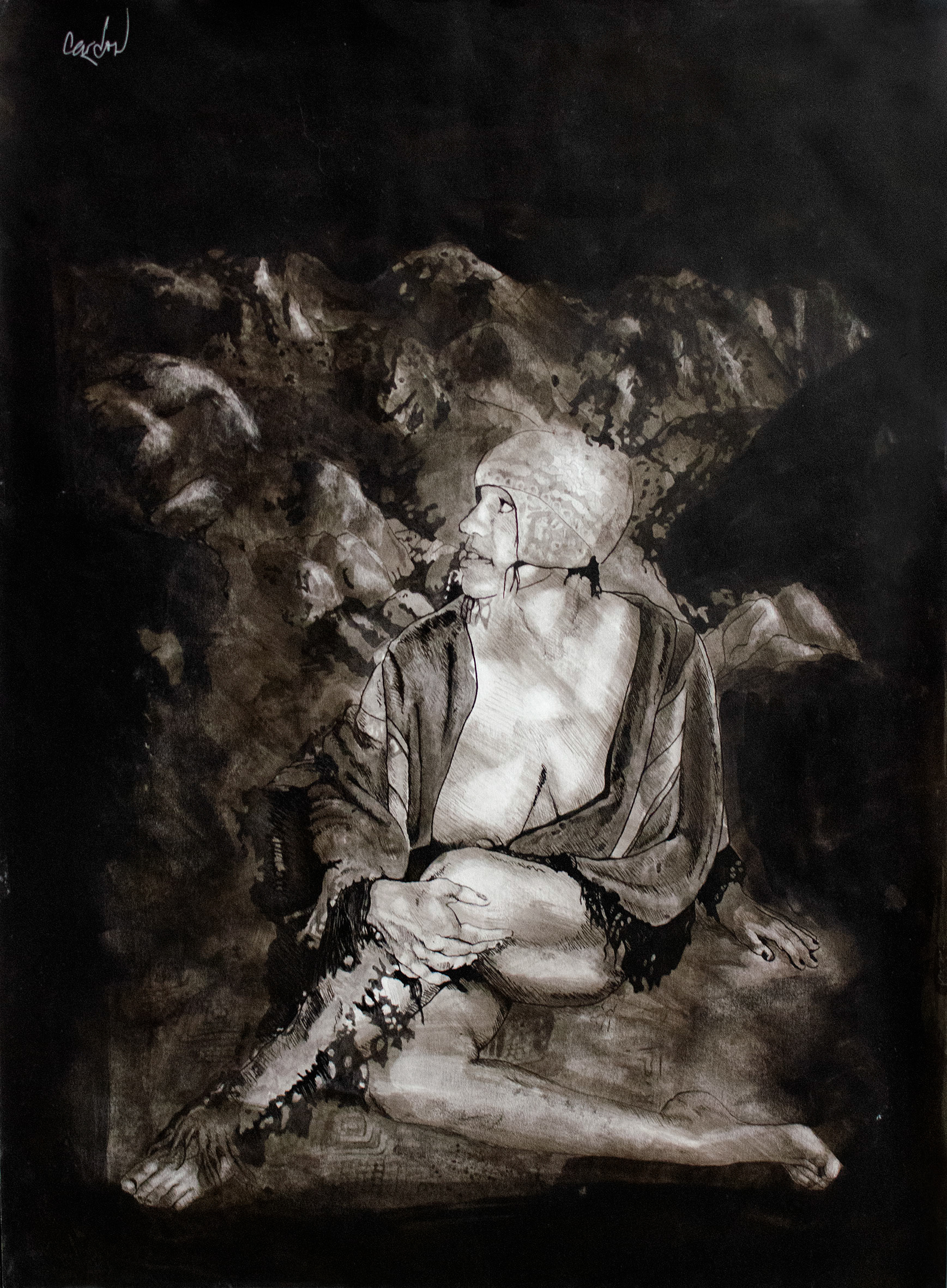 venus andina