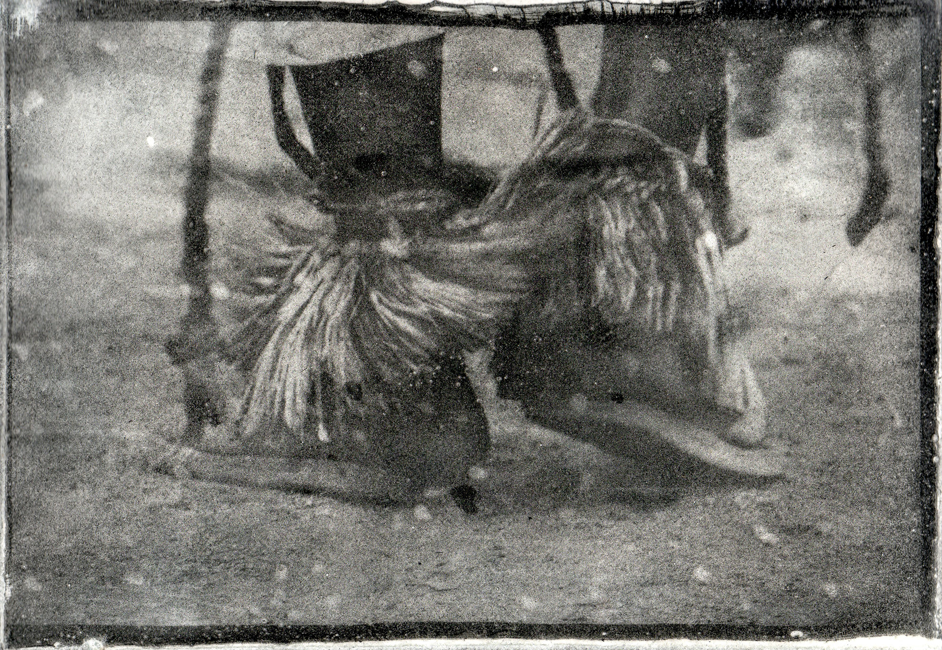 Danzante Dogón (Mali)