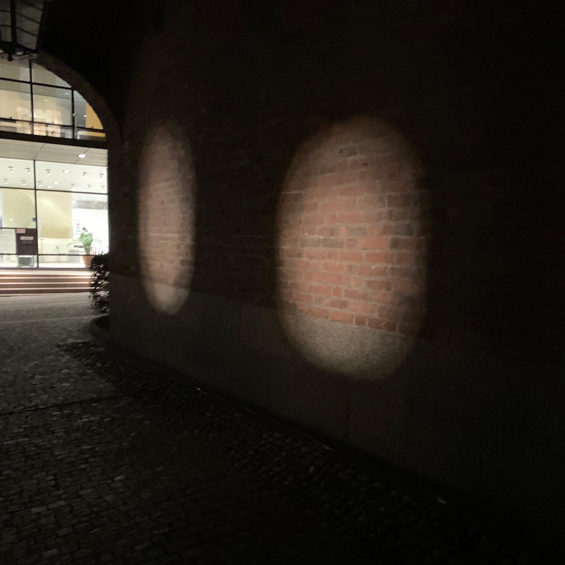single and dual spotlight details.
