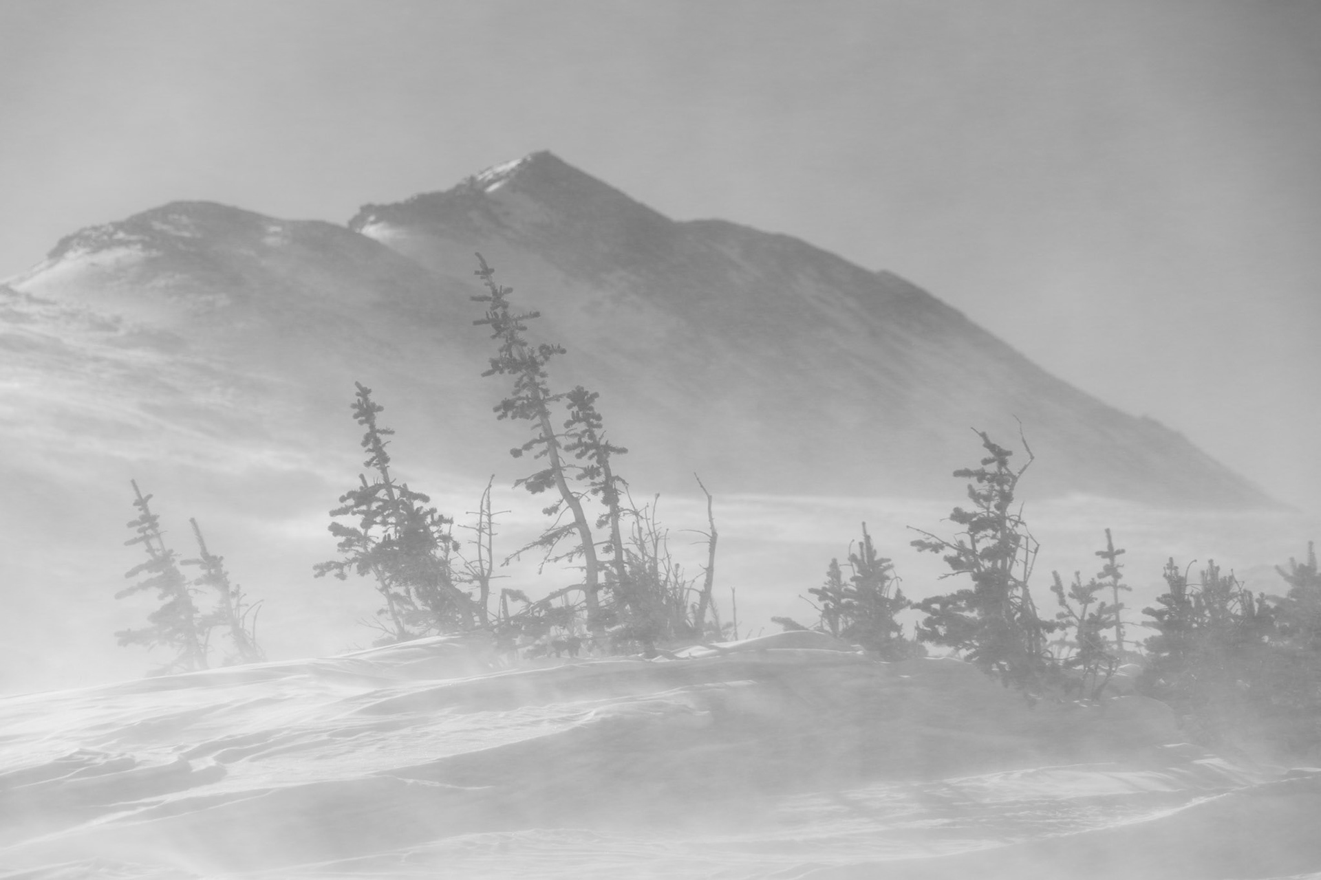 I set out snowshoeing on a bluebird day for the Continental Divide in the Arapaho and Roosevelt National Forest looking to capture bold black and white scenes. However, as I ascended above treeline, it became apparent that the wind had other plans for my day. Nonetheless, I charged into the increasingly strong headwinds towards the summit of the Continental Divide in hopes of capturing a worthy scene. When I made it to the summit of the Continental Divide, I was in a full ground blizzard and visibility rarely exceeded a few meters. At times, this prominent peak appeared into my view so I added these hardy trees into my foreground and waited for the visibility to clear a bit to capture this moody mountain scene.