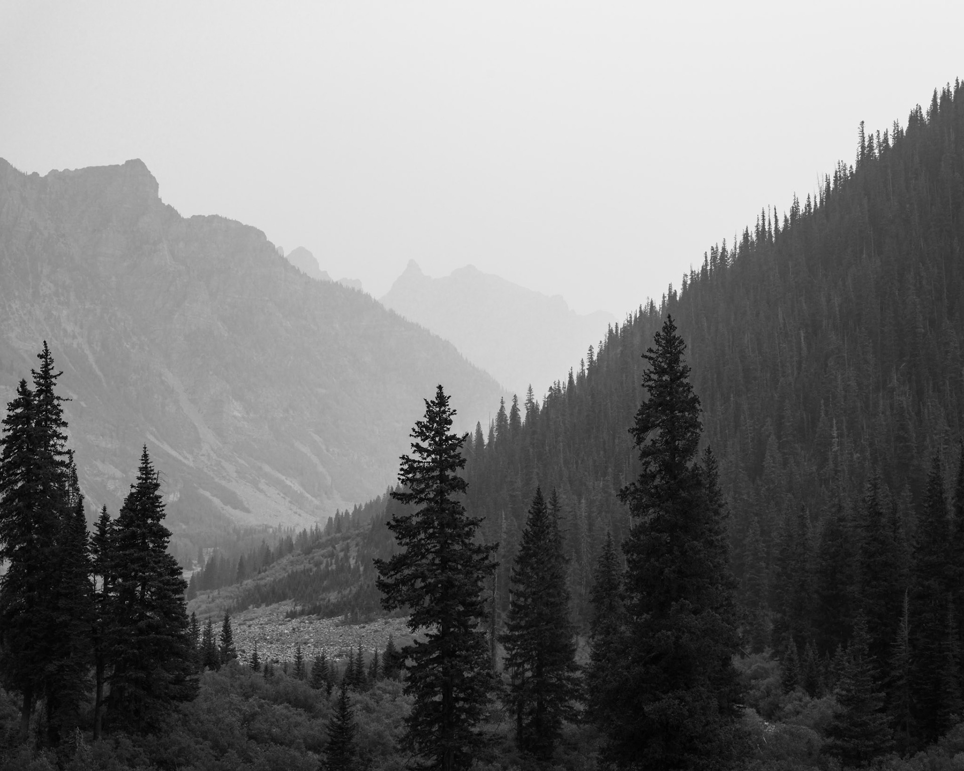 White River National Forest