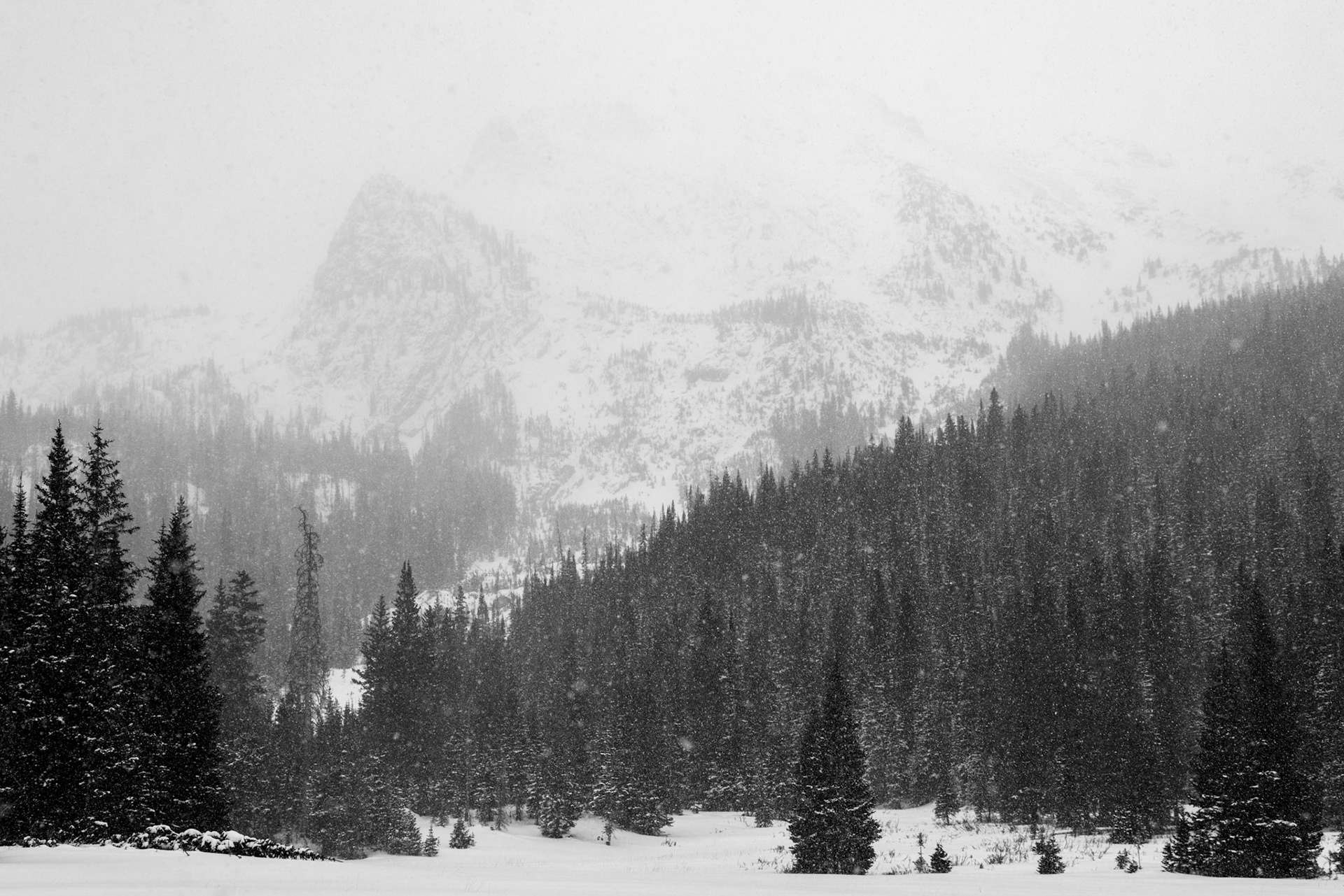 While snowshoeing in a snowstorm I entered into this field that opened up this beautiful moody scene.