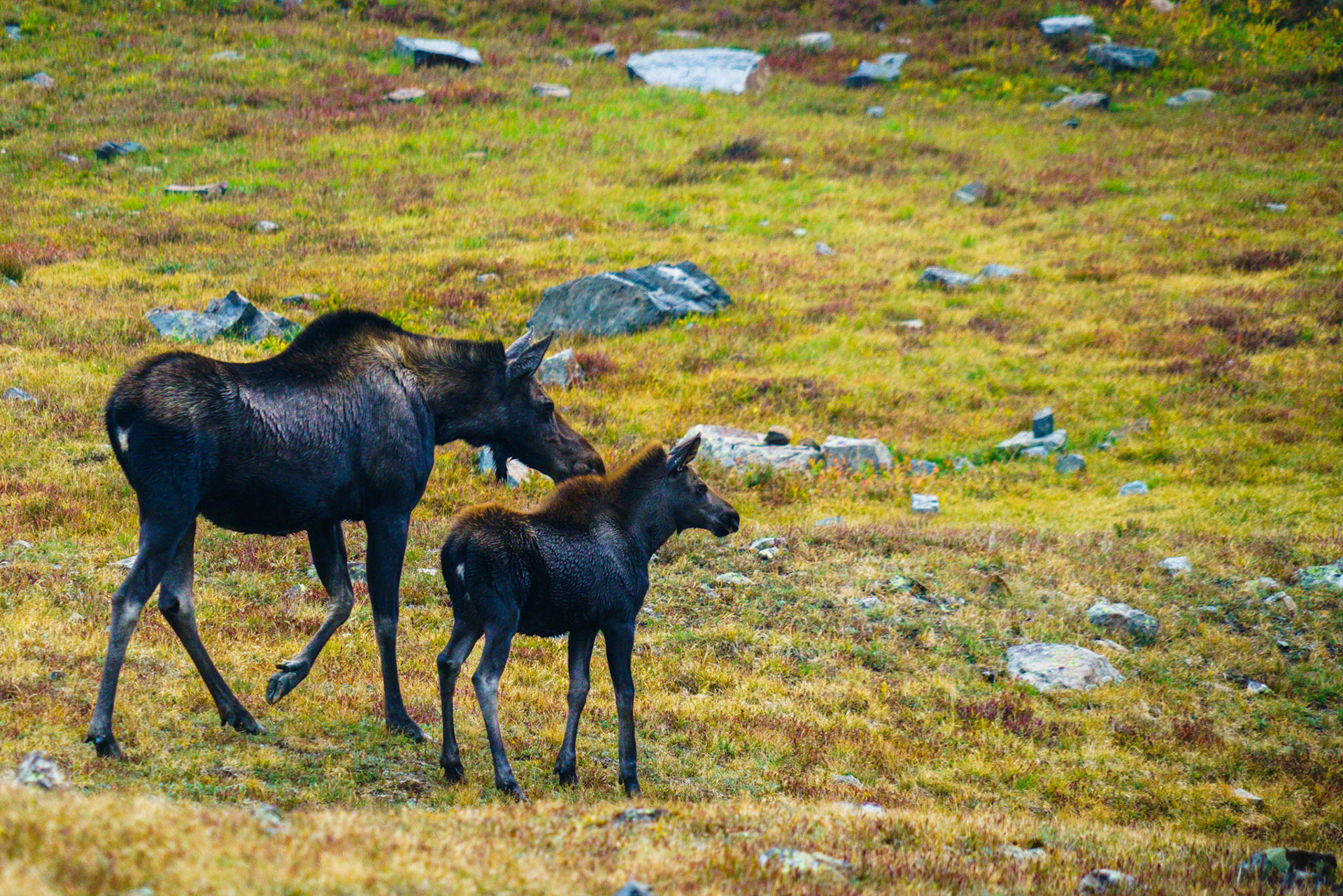 Reassurance for the First Wintering Passage